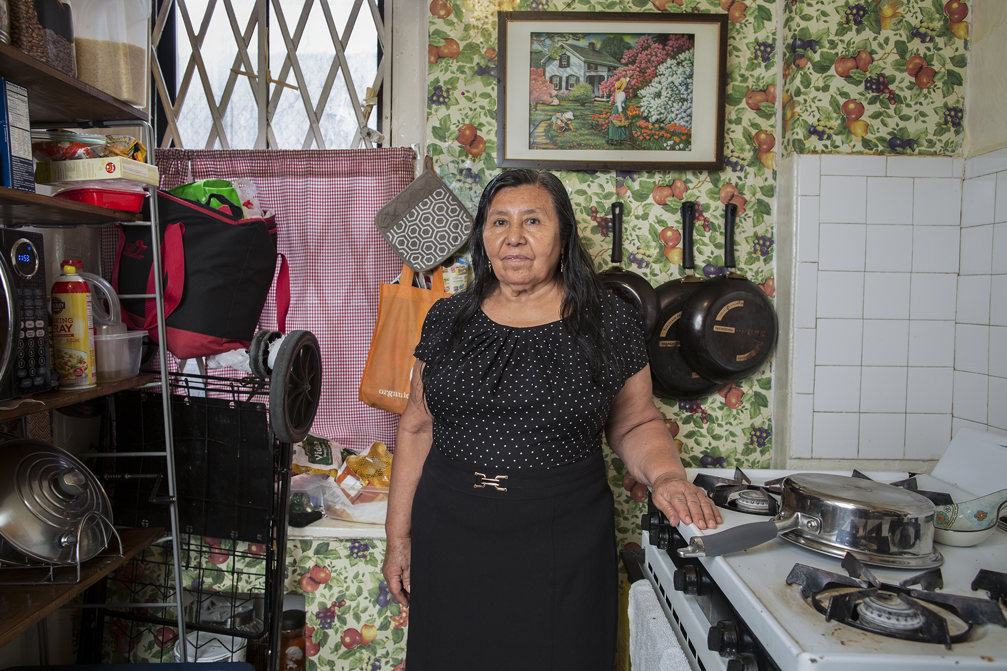 Josefina Torres is from La Unión Tecomatlán, Puebla. She is a professional baker of traditional Mexican breads. Josefina emigrated to the United States in 1974 and since then has been living in the Bronx. Currently she has 13 grandchildren.