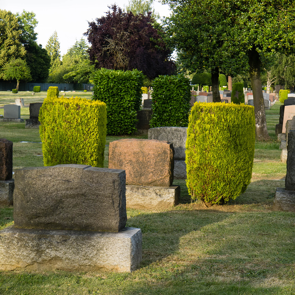  Roberta Margolis,  Shrubs, Rose City Cemetery, Portland,  2014 