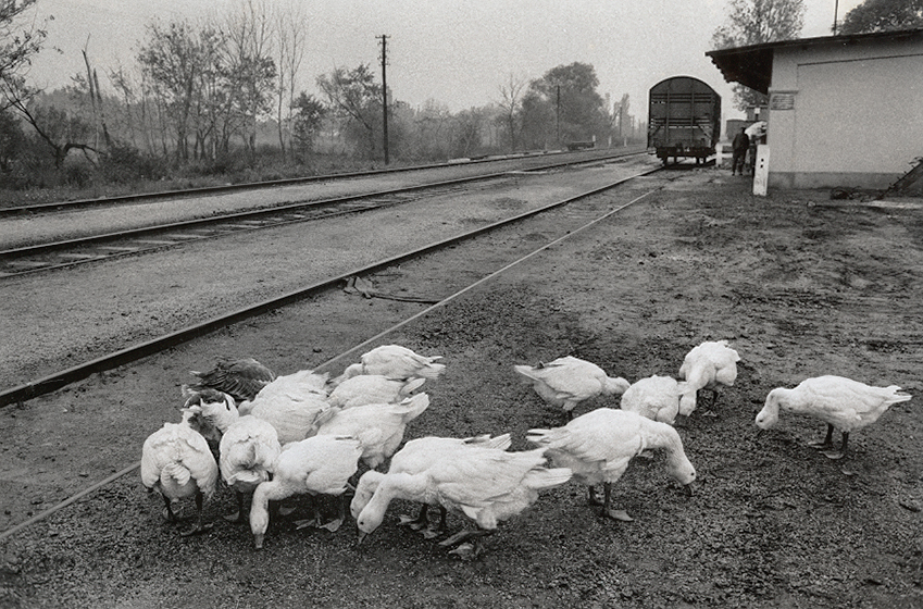 7_gerdes_hortobagy-hungary-1972_.jpg