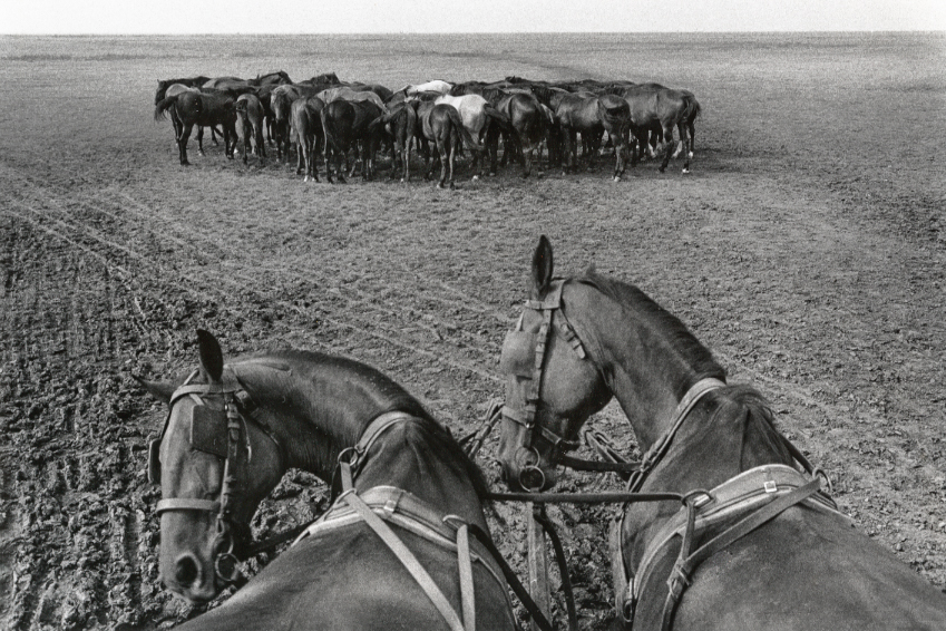 9_gerdes_puszta-hungary-1972.jpg