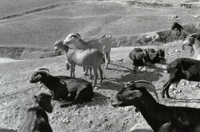 10_gerdes_near-ronda-spain-1975.jpg