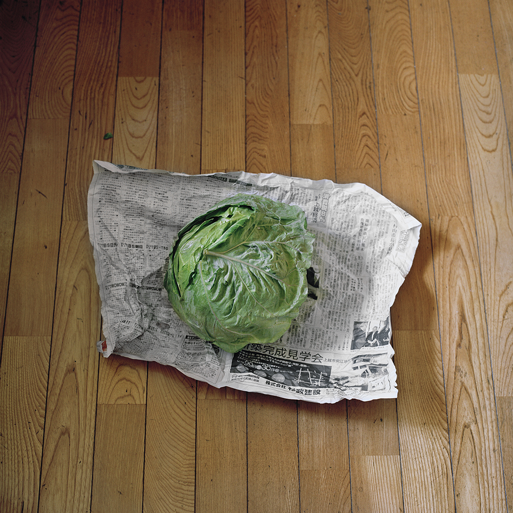  Seiya Bowen,  Neighbor’s Cabbage , 2015 