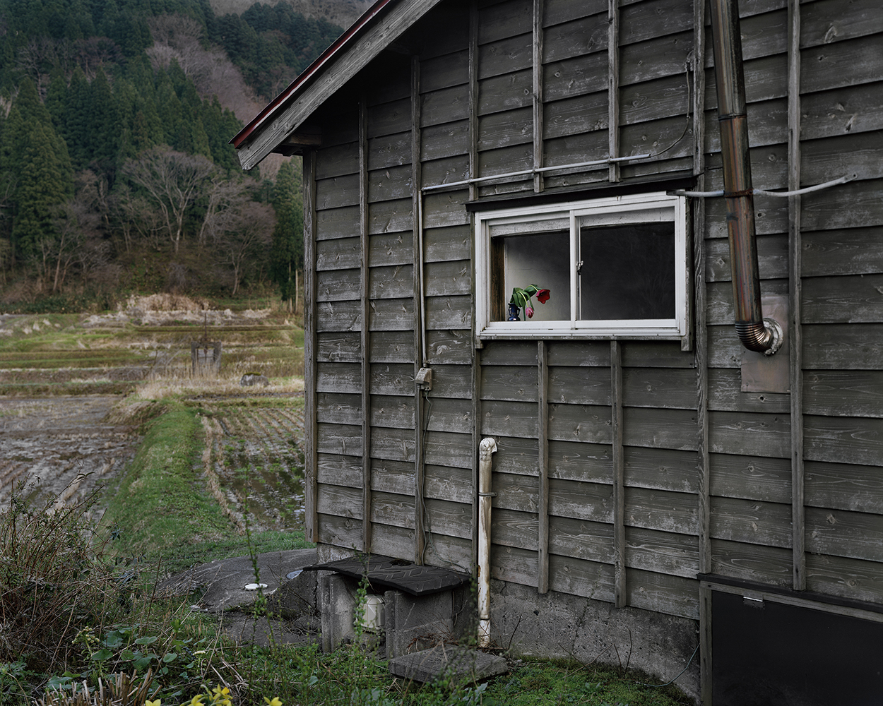  Seiya Bowen,  Window of My Grandparents’ House , 2016 