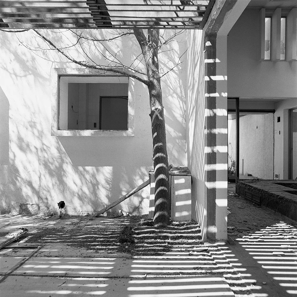 Cristian Ureta, Untitled from the series Volviendo a la Tierra, 2003–2005