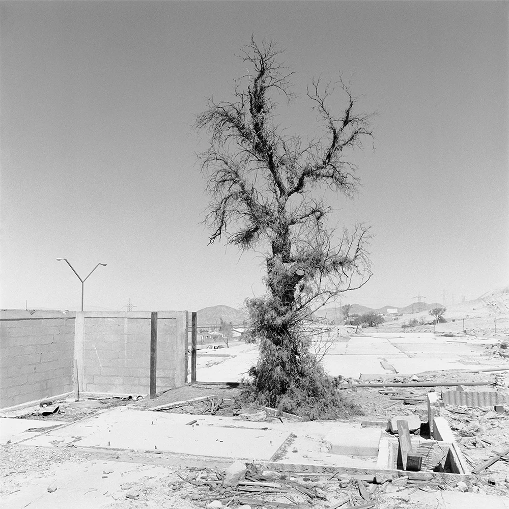 Cristian Ureta, Untitled from the series Volviendo a la Tierra, 2003–2005