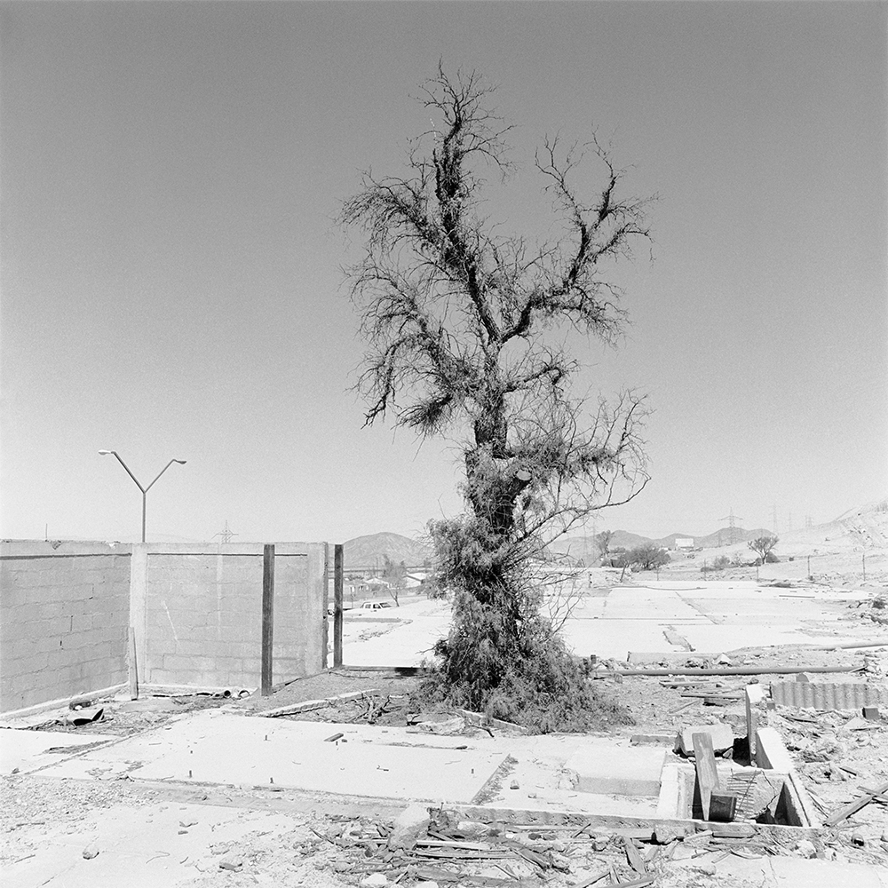  Cristian Ureta,  Untitled  from the series  Volviendo a la Tierra,  2003–2005 