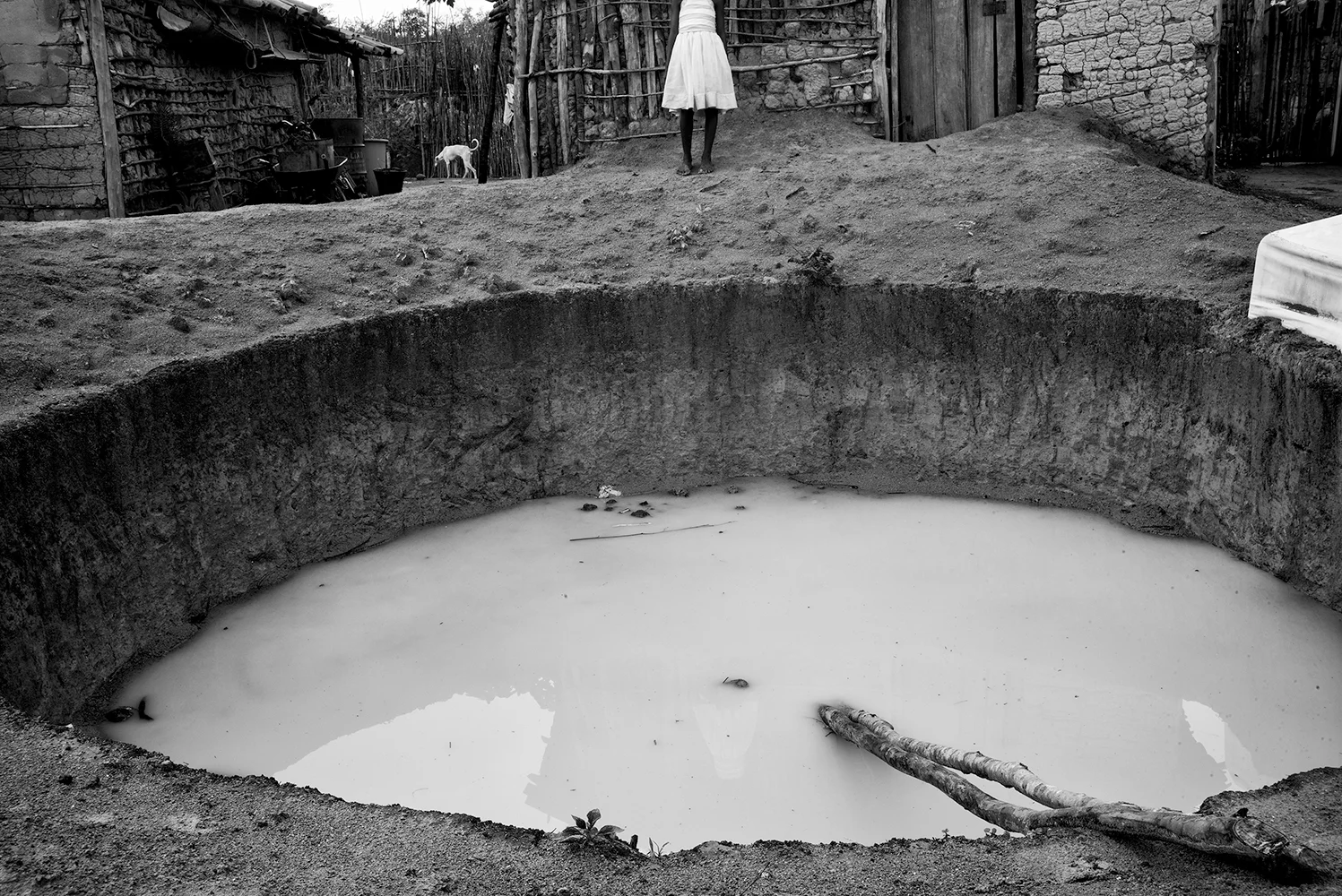 Calvin Chen, La Piscina, 2016