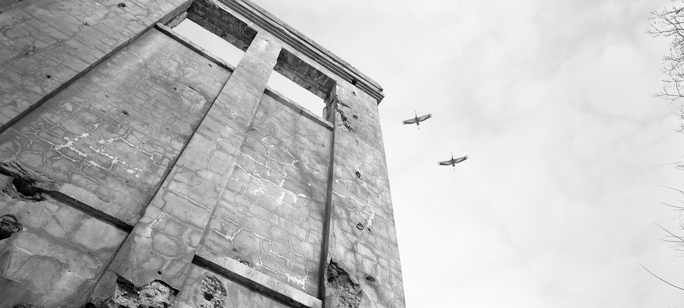  Jinhyun Cha,  Japanese cranes flying over the Labor Party building,  2014 