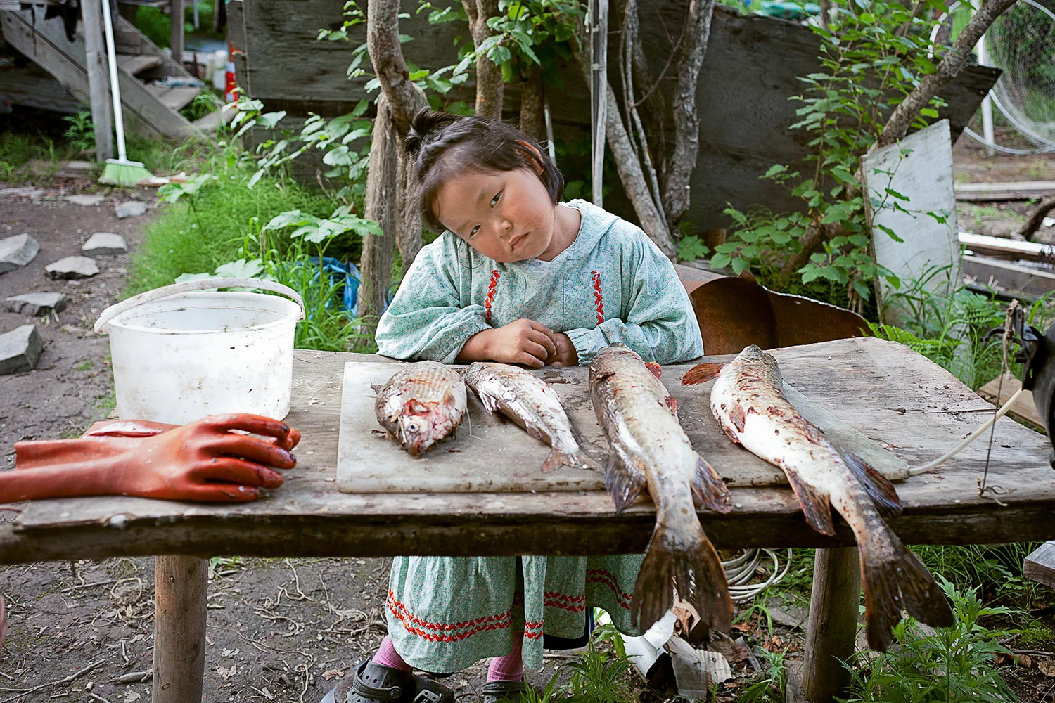 image © Tara Champion