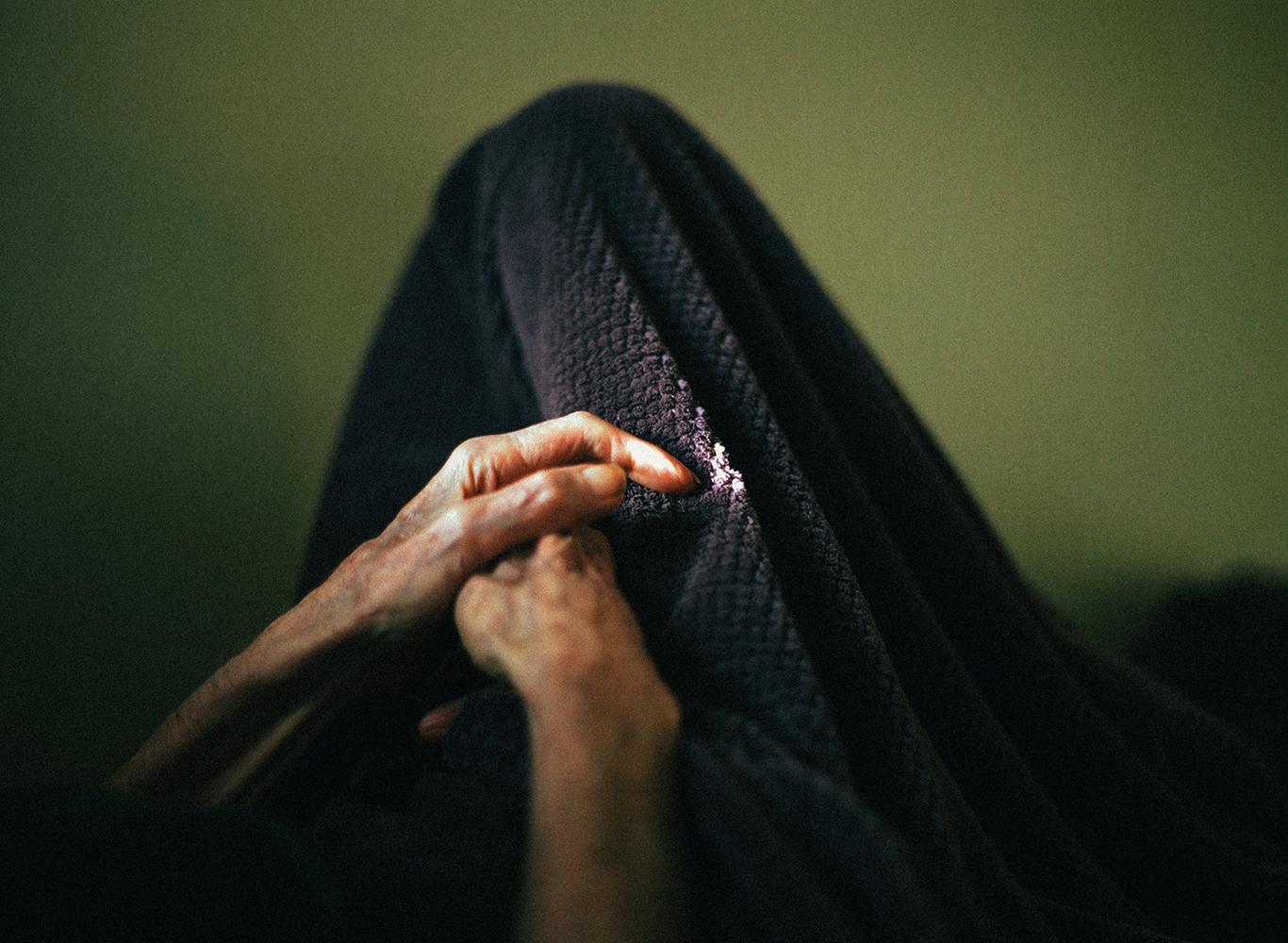 image © Lorraine Olivia Hamberger
