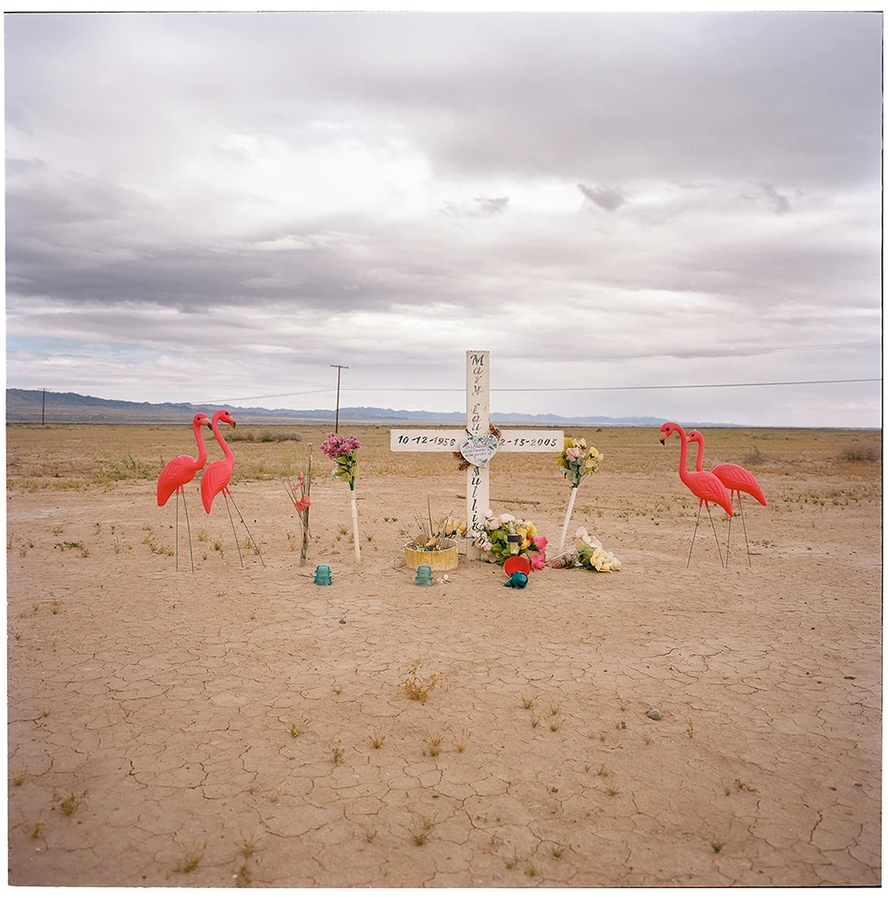 image © John Kane