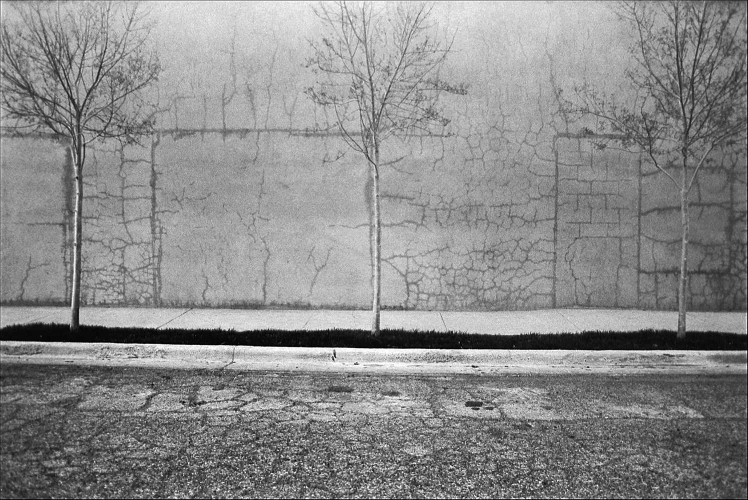 image © Ann Kendellen