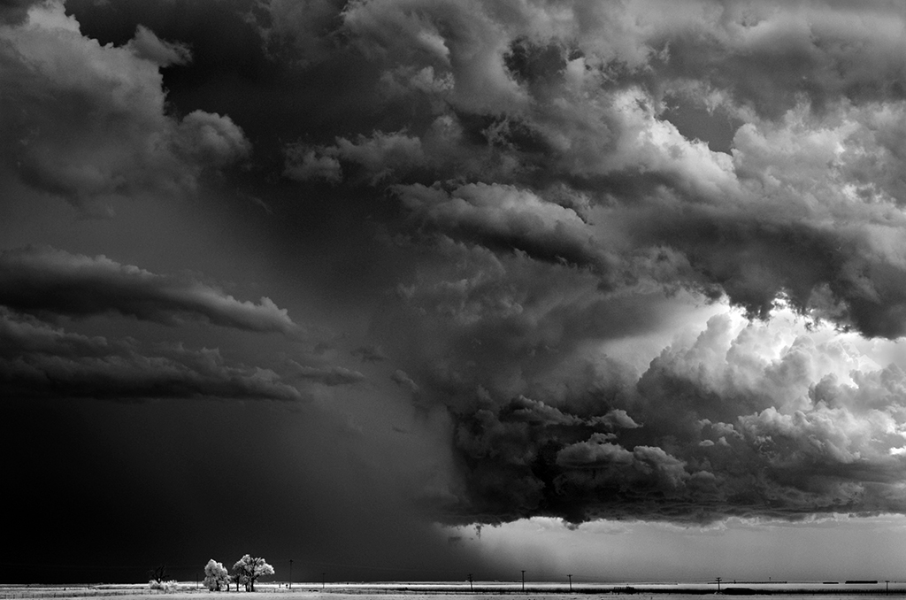 Mitch Dobrowner_Trees-Clouds.jpg