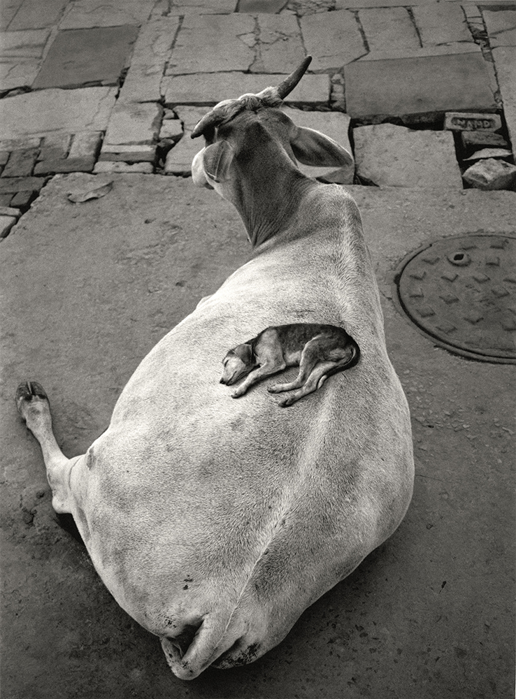 Varanasi, India, 1999, Nailya Alexander.jpg