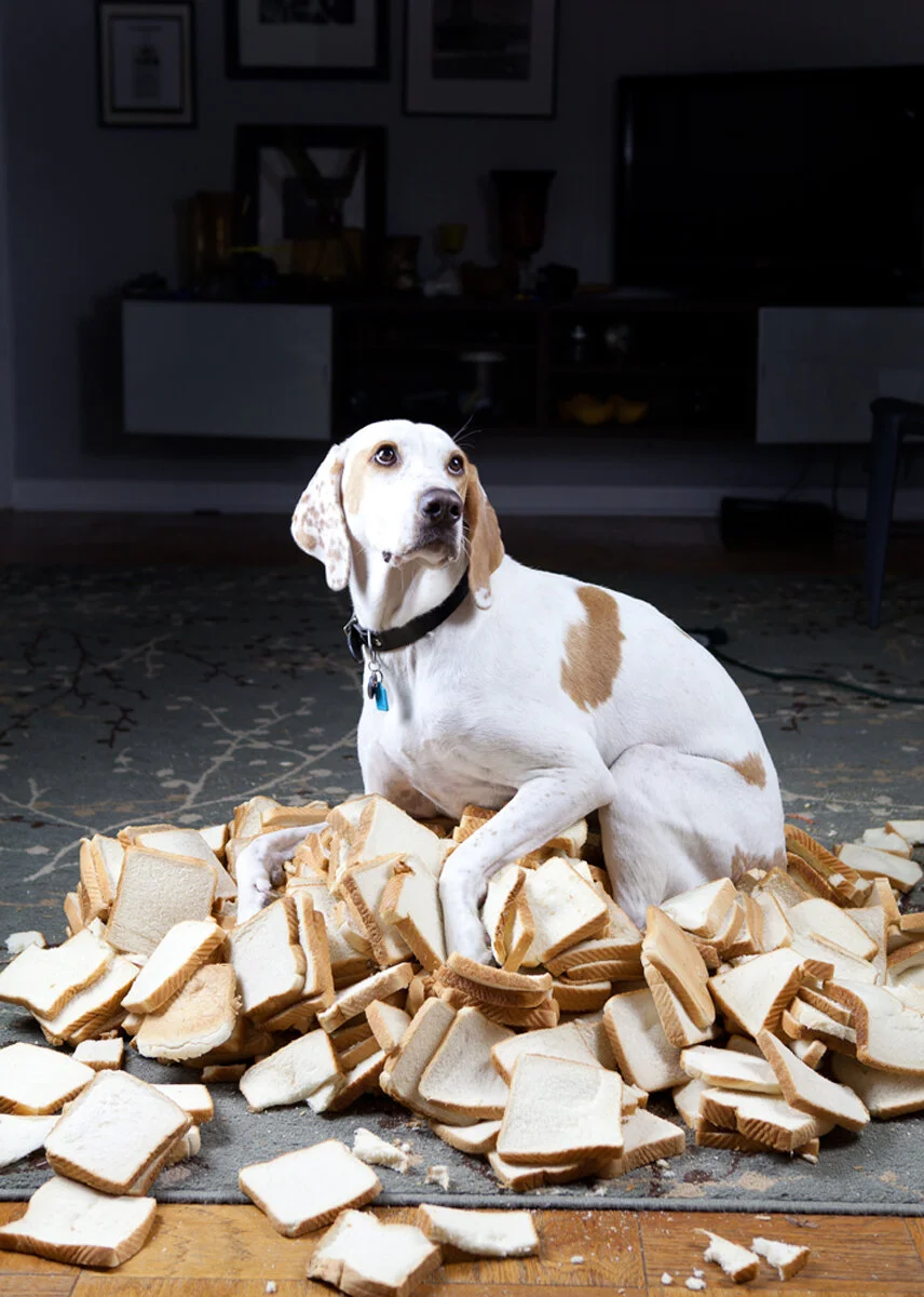 From the Archive: Via Food