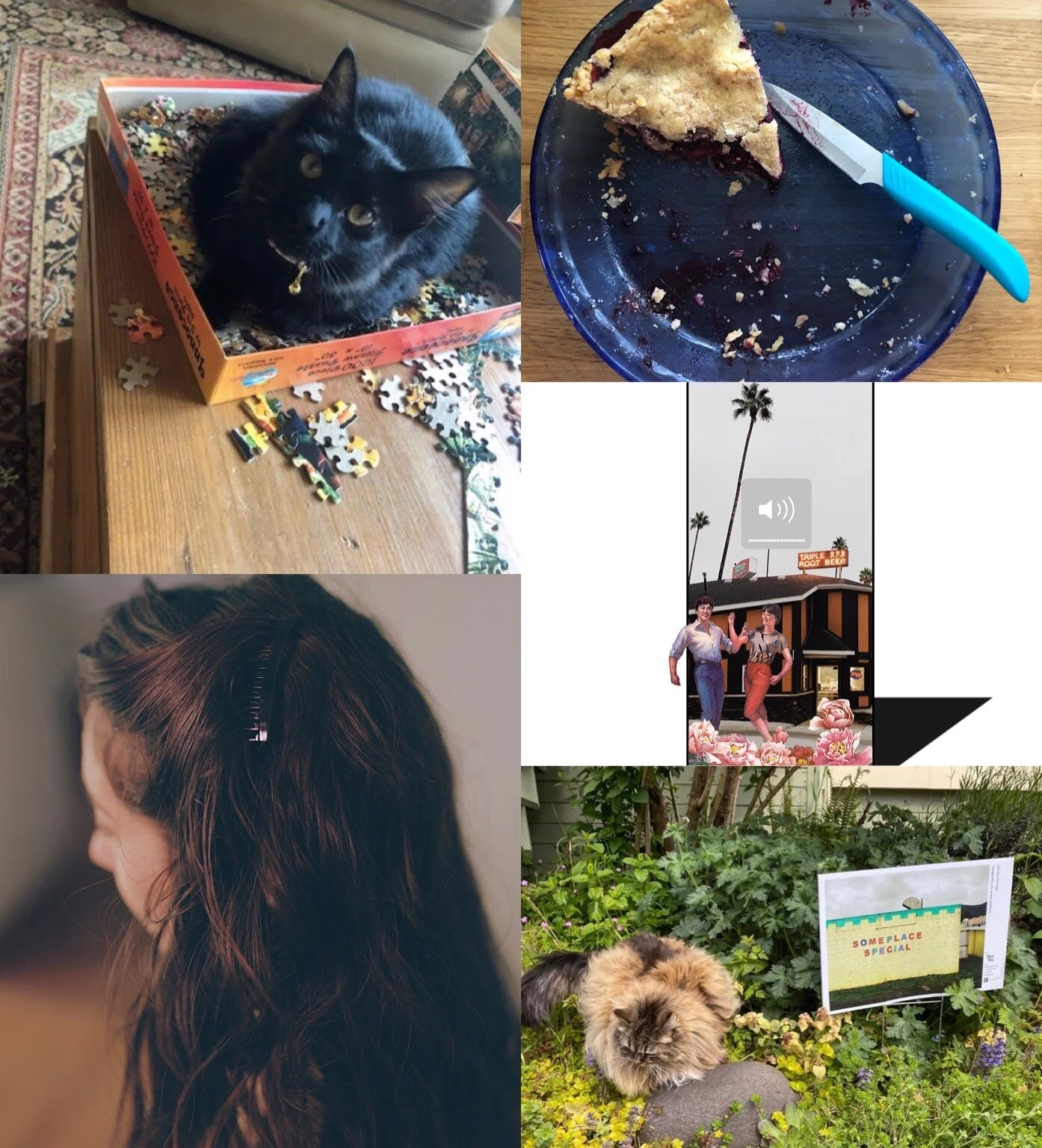 Quilt, Albondigas Soup, Thesis and Yard Sign: A Quarantine Life from Our Staff 