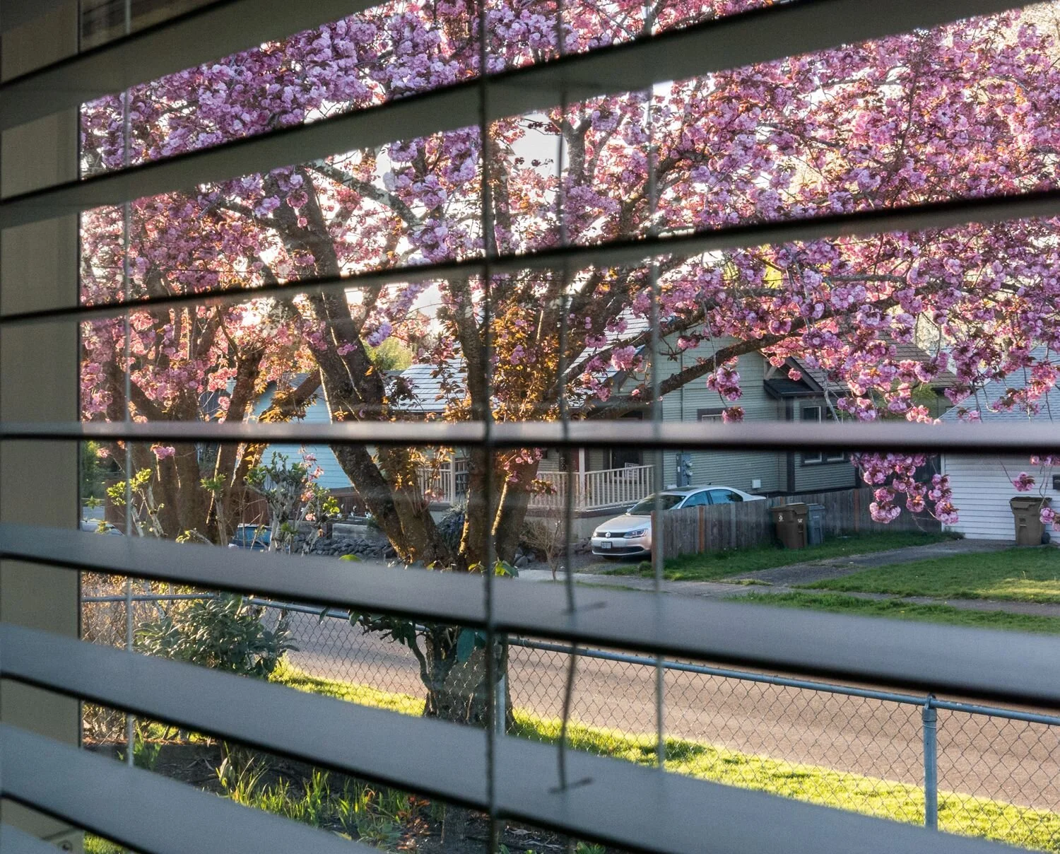 View from our Living Room Window