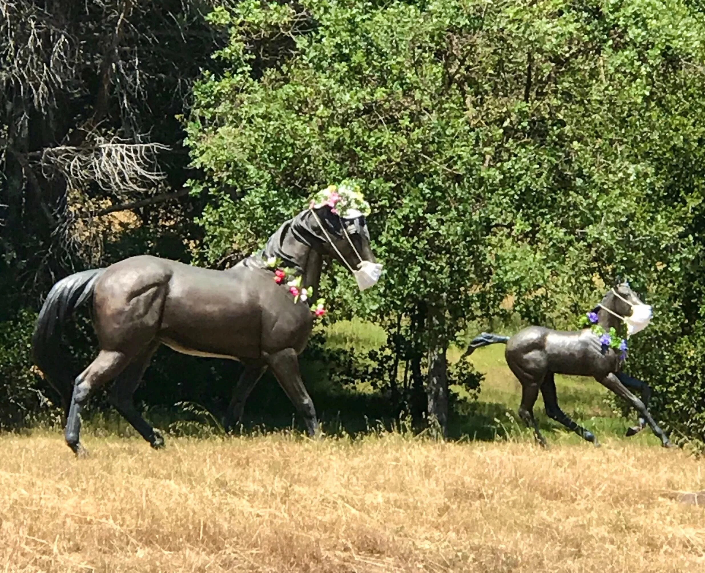 Be sure to stay 6 hoofs away