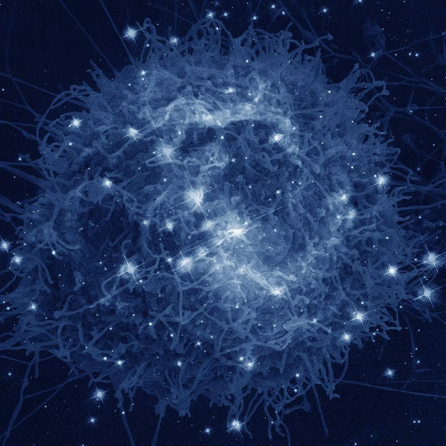 Ebola Astronomy