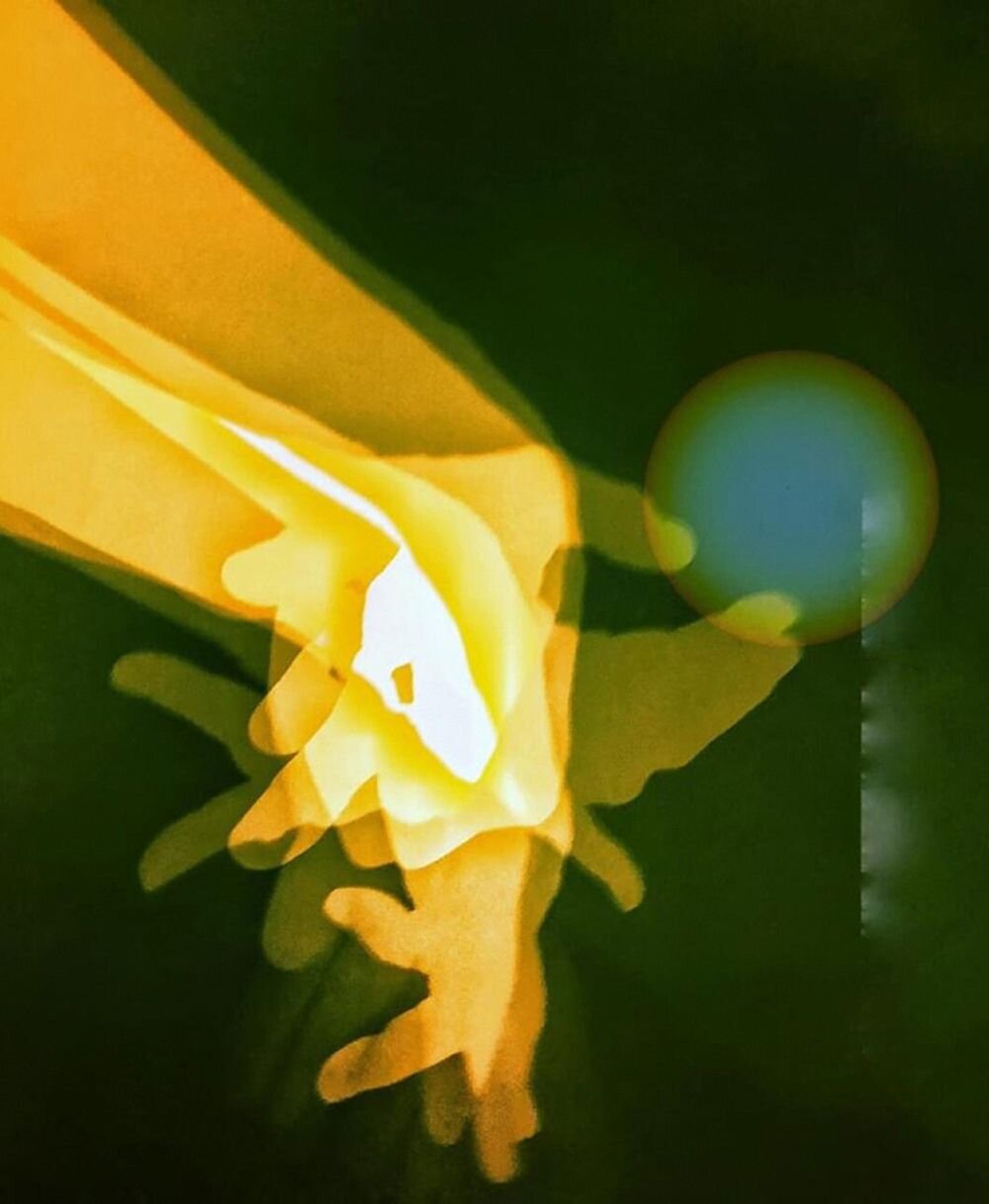 In the Space of an Echo 1 (lumena)