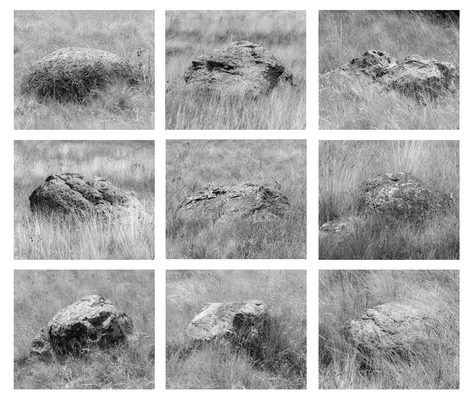   Typology - Rocks in the Grass,  2019  Inkjet print  17" x 22" 