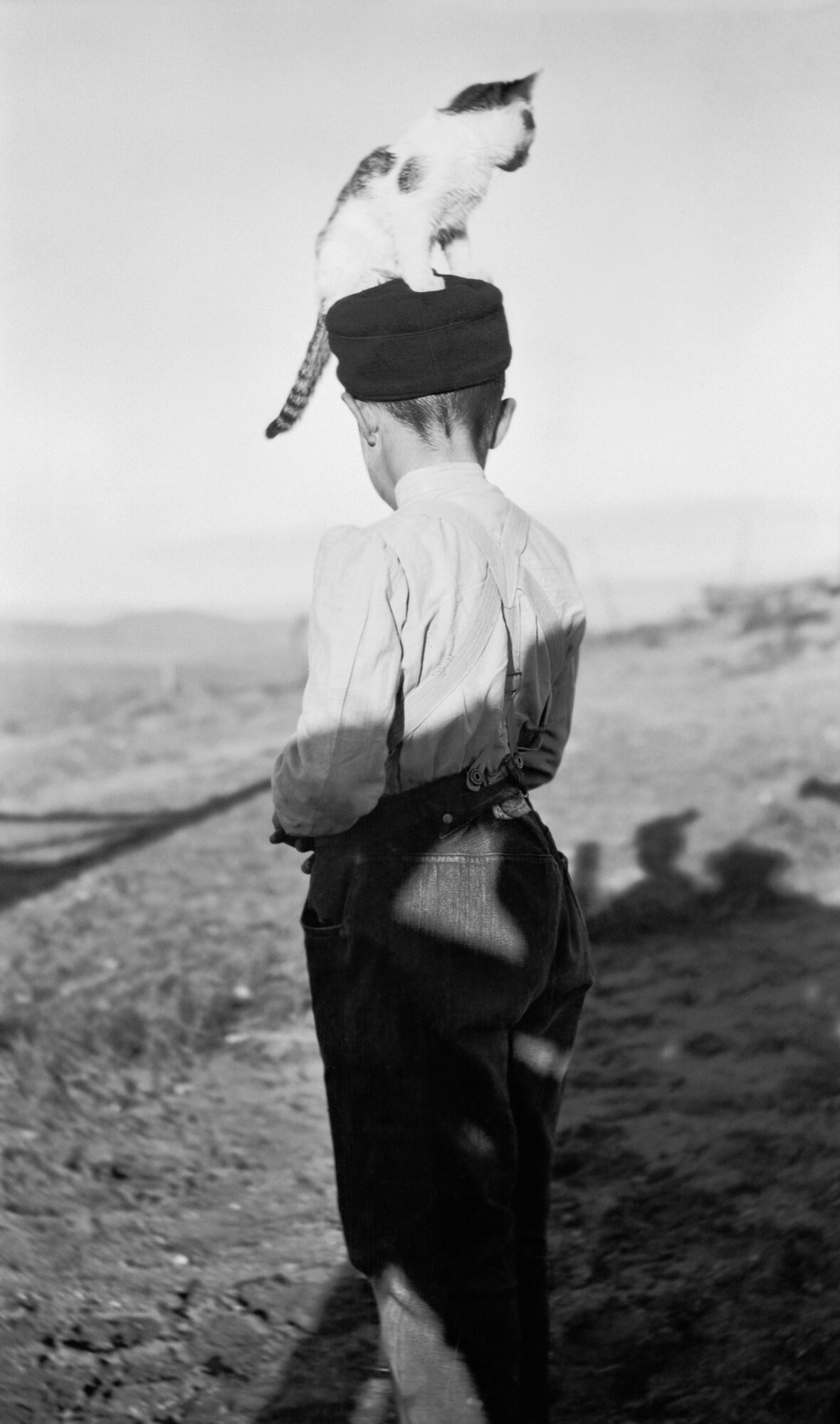  Lora Webb Nichols,  Bert Oldman Jr. , 1911  