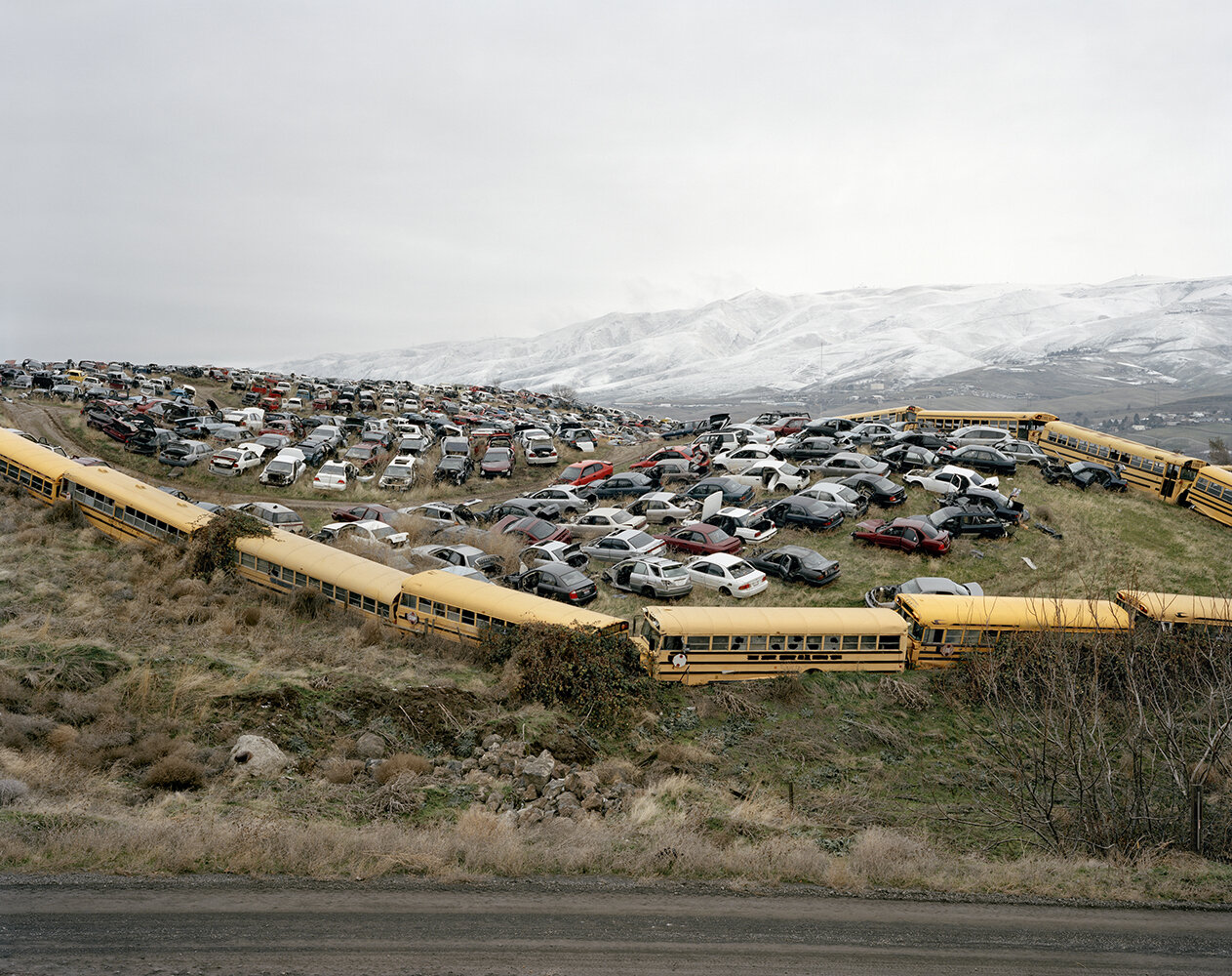  Joshua Dudley Greer,  Lewiston, Idaho,  2015  