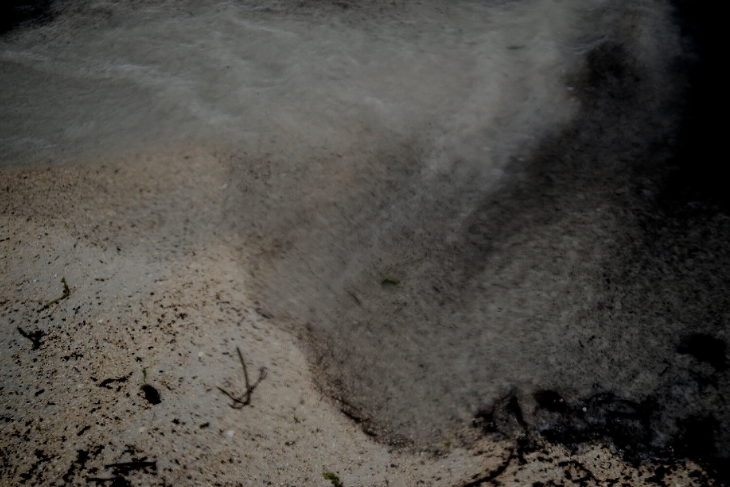 Intertidal 5
