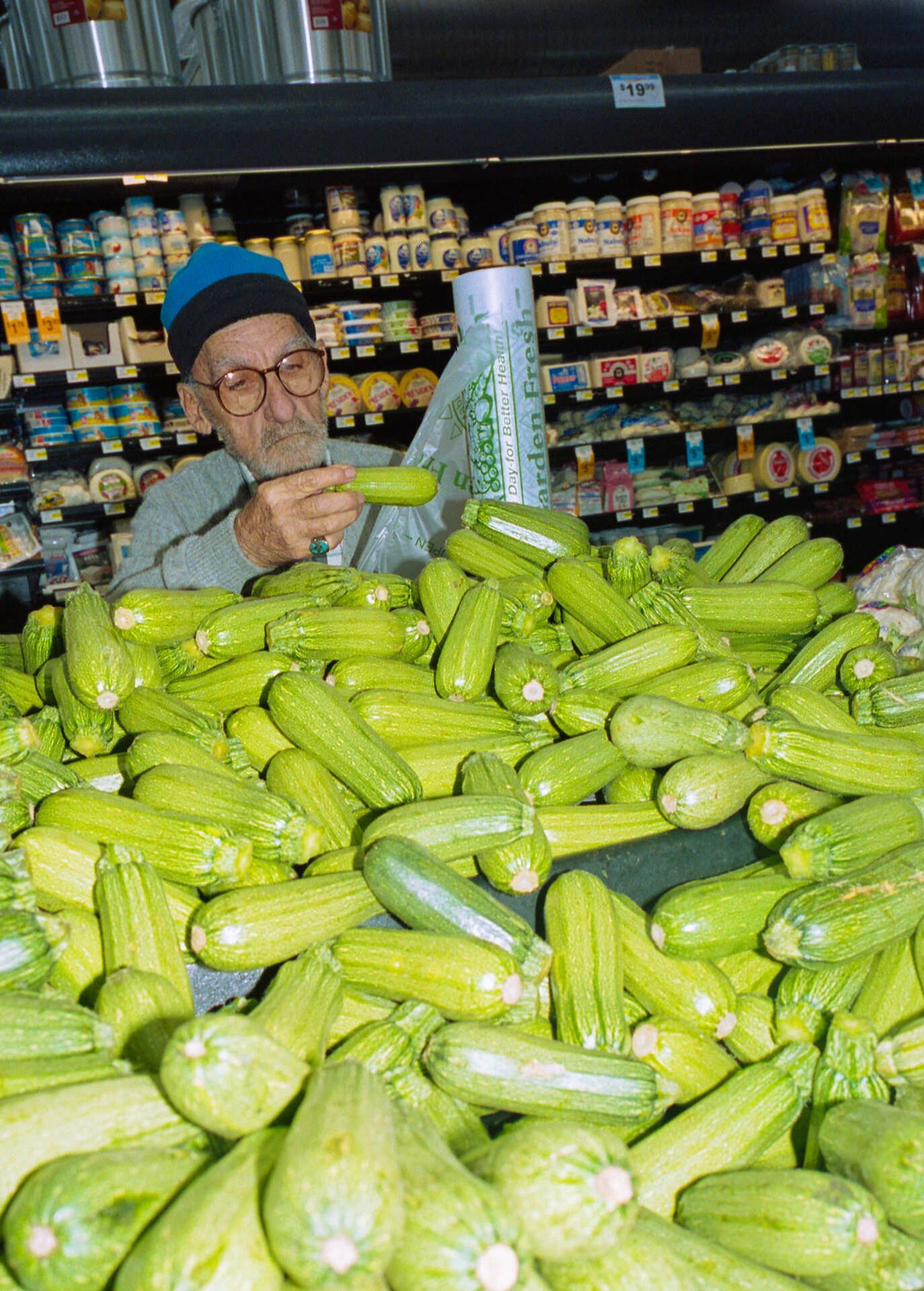 Cucumber or Zucchini?