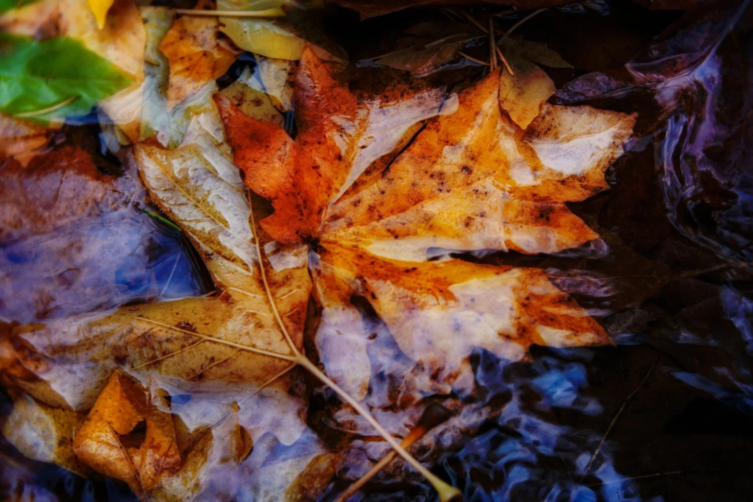 Fire and Water
