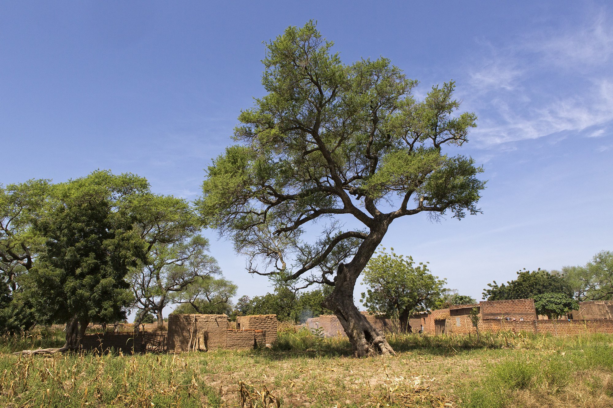 Ancien Village, Shade, 2012