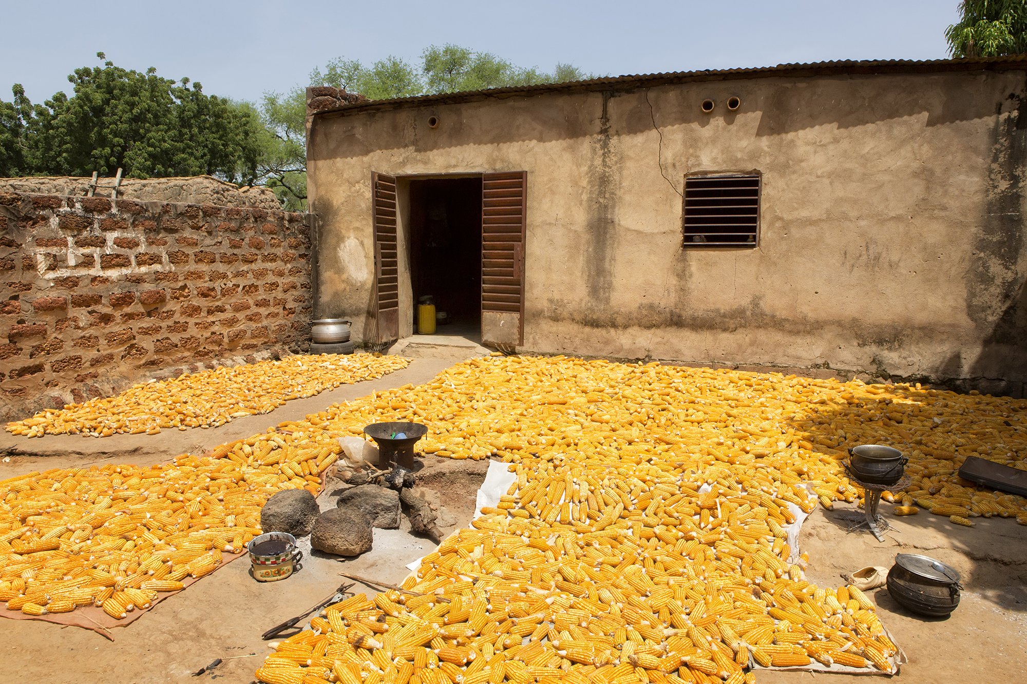 Ancien Village, Corn Drying, 2013