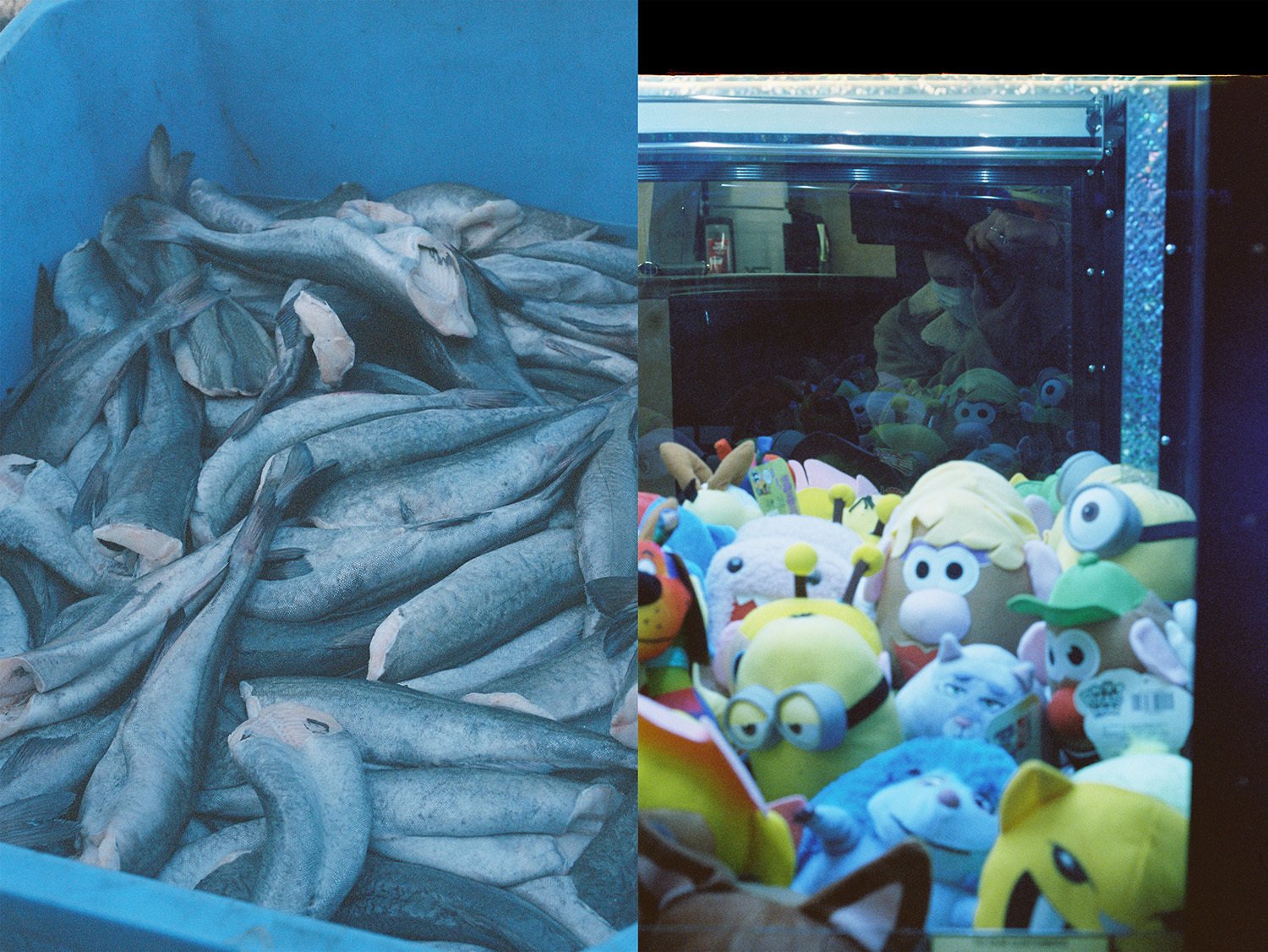 Werbalowsky, Zachary 2