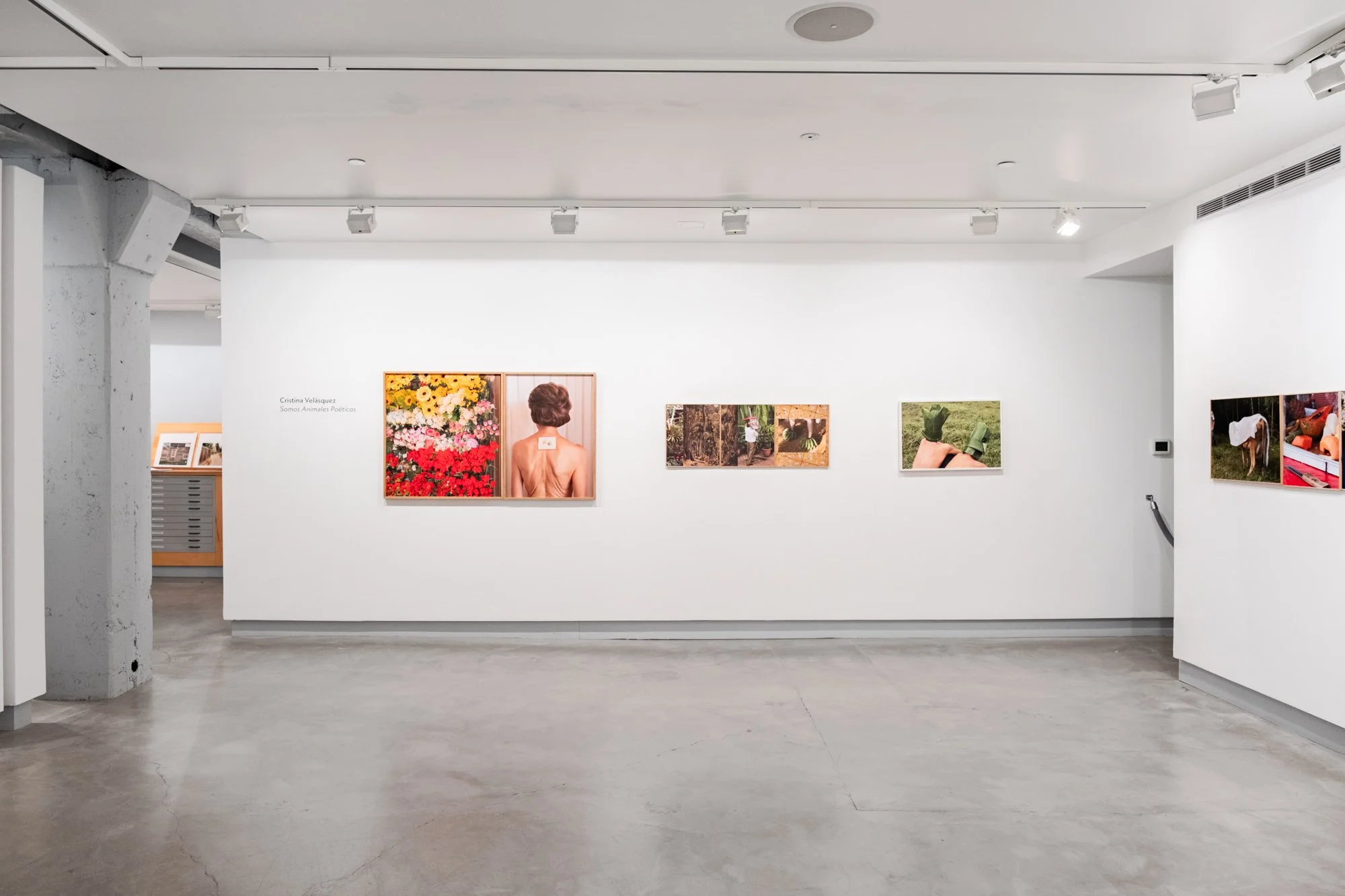 Exhibition View