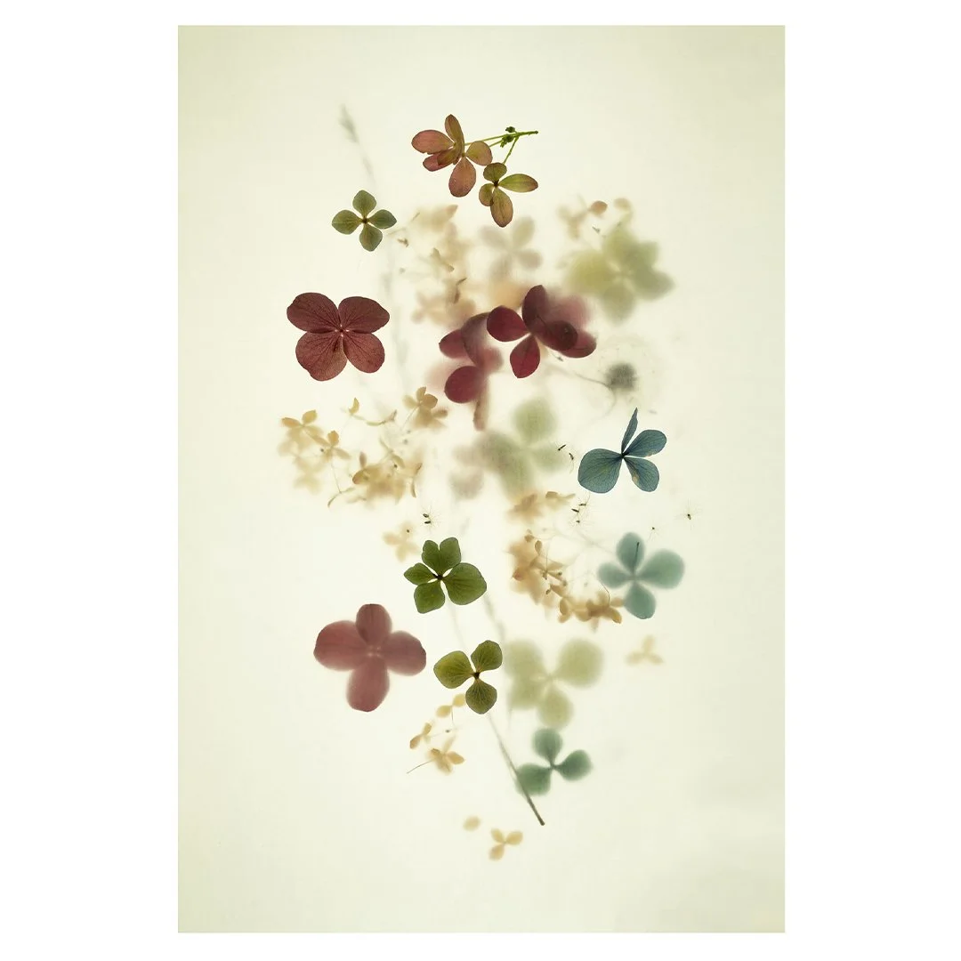 2025 Pacific Northwest Drawers Feature
Meghan Crandall: 𝘓𝘢𝘤𝘦𝘤𝘢𝘱, 2024
“I’ve long been intrigued by the mysterious filter that a misty window casts on the scene beyond. Often a sign that the chill of winter is creeping in. Over the