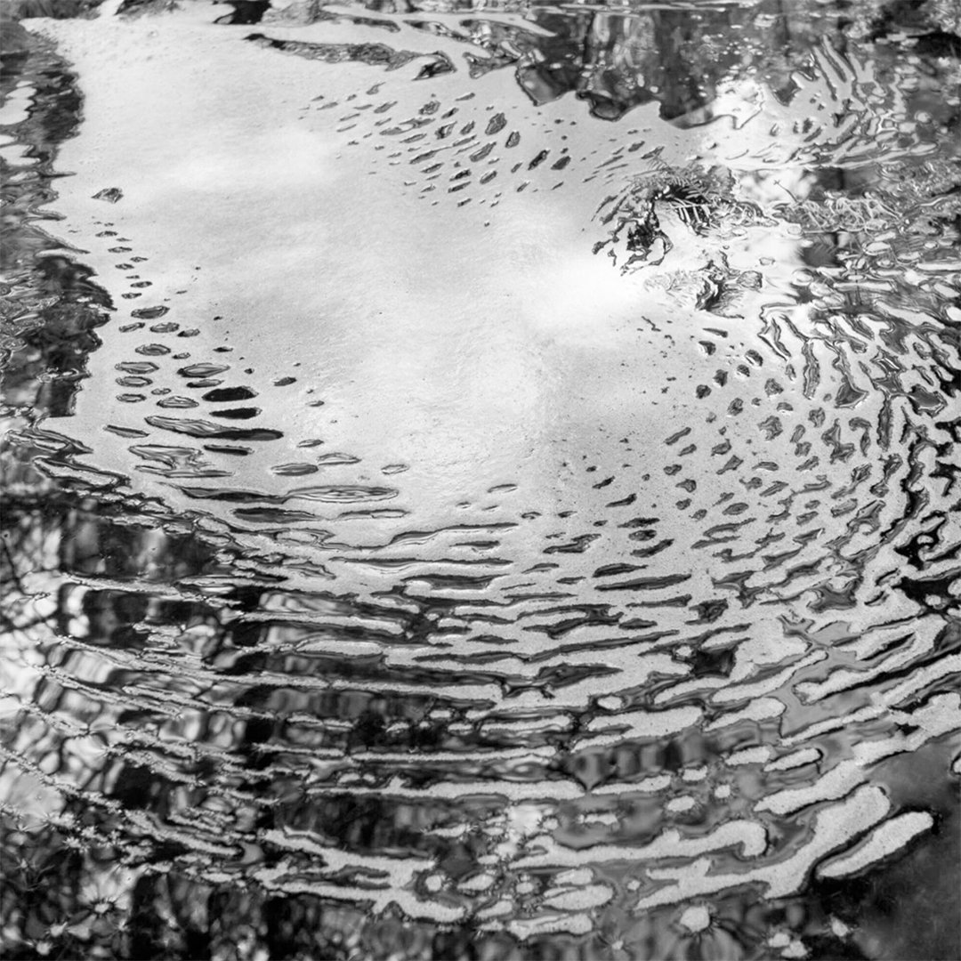 2025 Pacific Northwest Drawers Feature
Todd Forsgren: 𝘊𝘢𝘭𝘮 𝘚𝘰𝘢𝘱 𝘍𝘰𝘢𝘮, 𝘚𝘰𝘶𝘵𝘩𝘸𝘦𝘴𝘵 𝘏𝘢𝘳𝘣𝘰𝘳, 𝘔𝘢𝘪𝘯𝘦

&ldquo;This application includes one portion of a five part project, 𝘍𝘶𝘭𝘭 𝘍𝘢𝘵𝘩𝘰𝘮 𝘍𝘪𝘷𝘦, that examines the nega