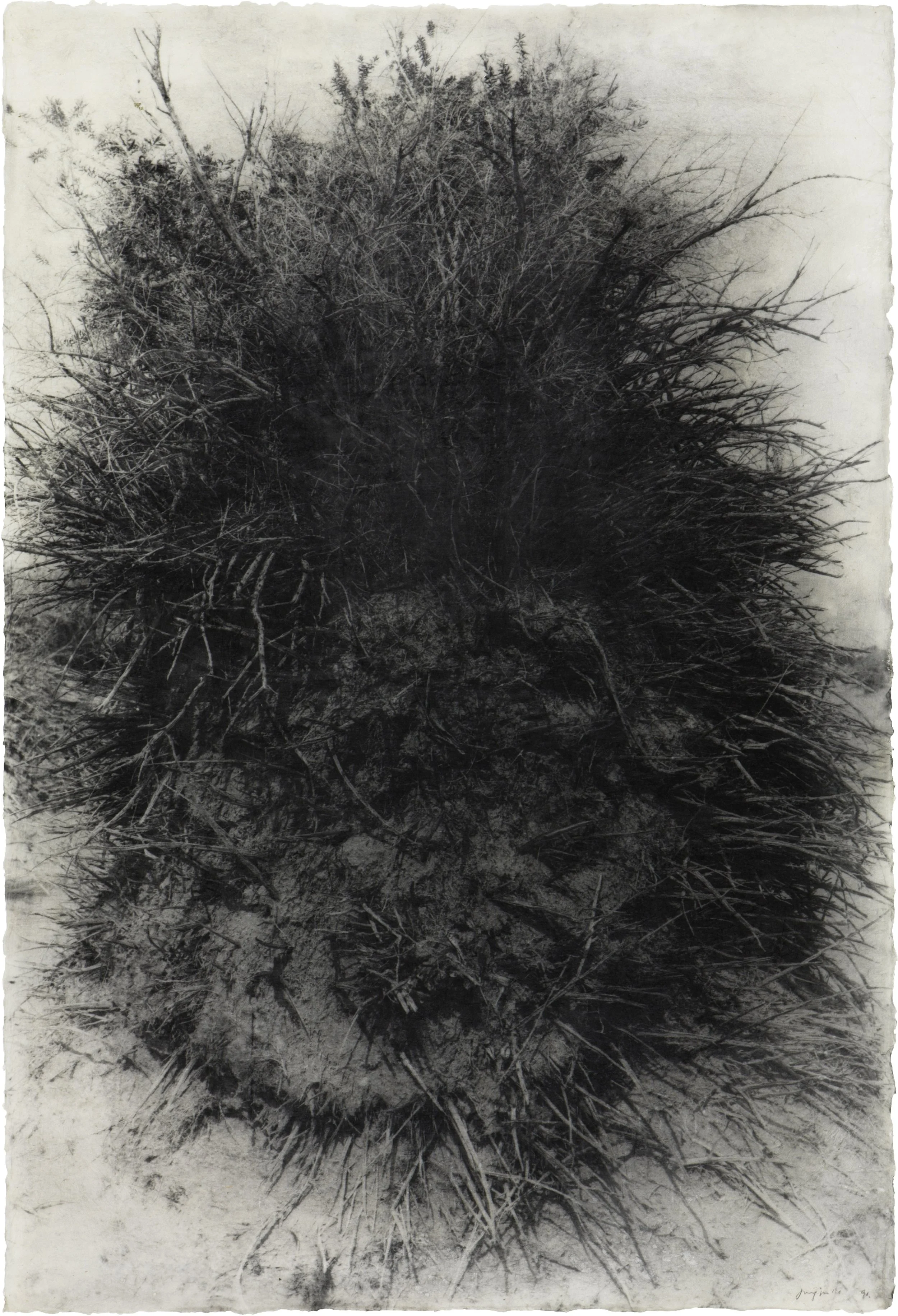 Jungjin Lee Original 1