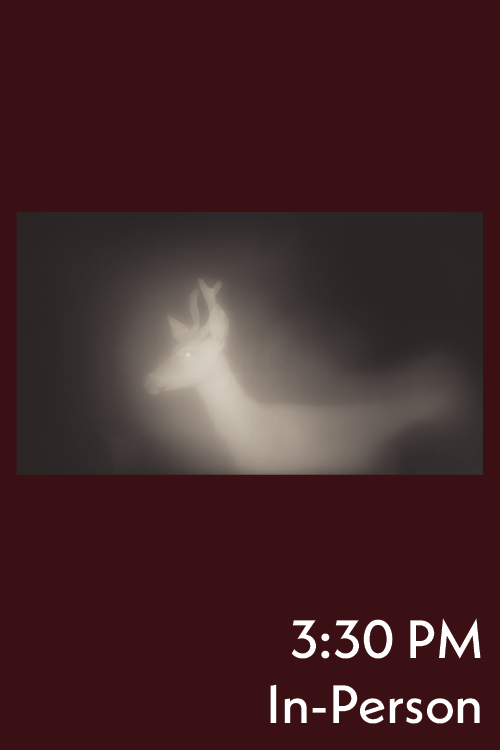 Artist Talk: Lauren Grabelle