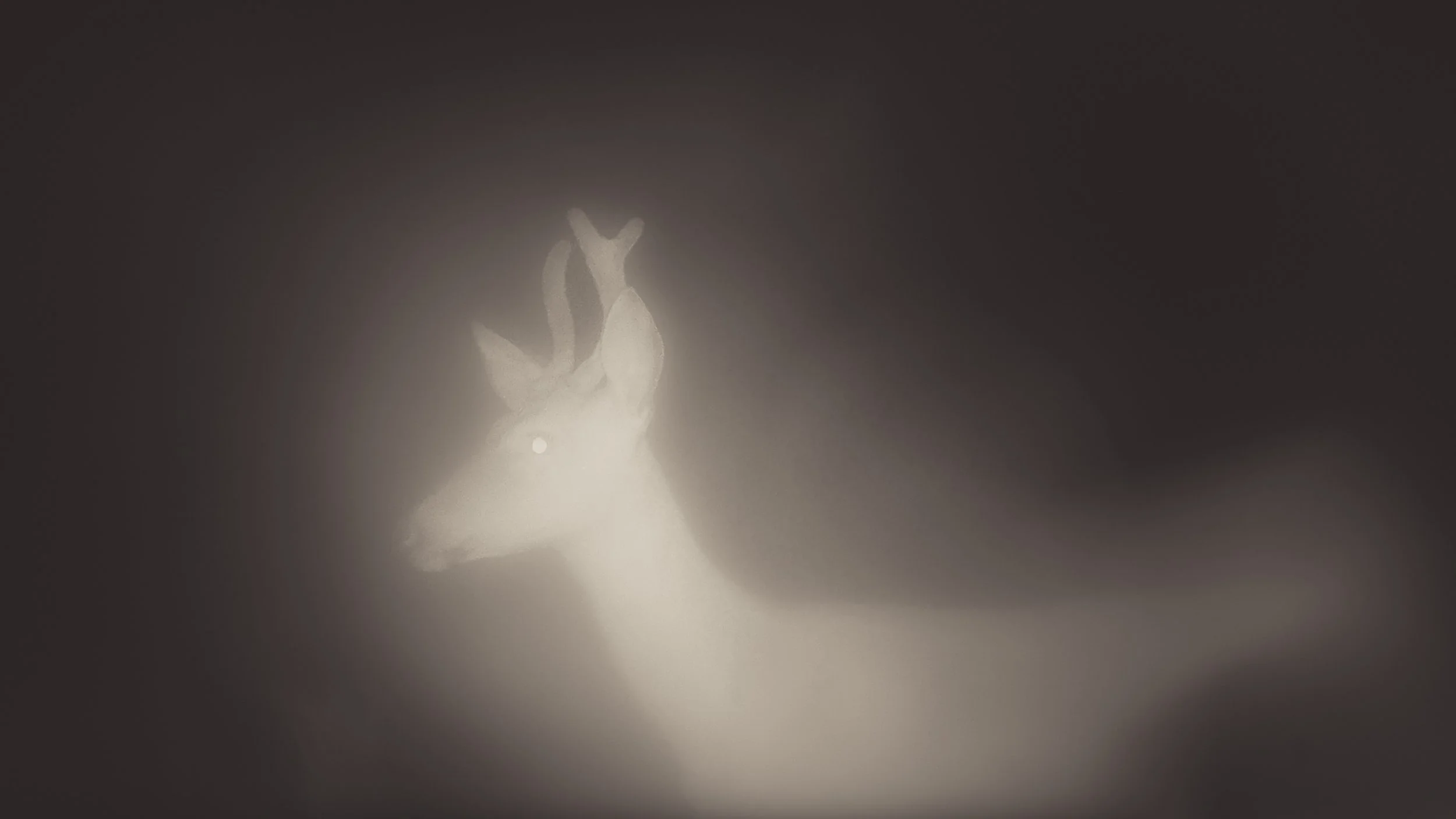 Image © Lauren Grabelle