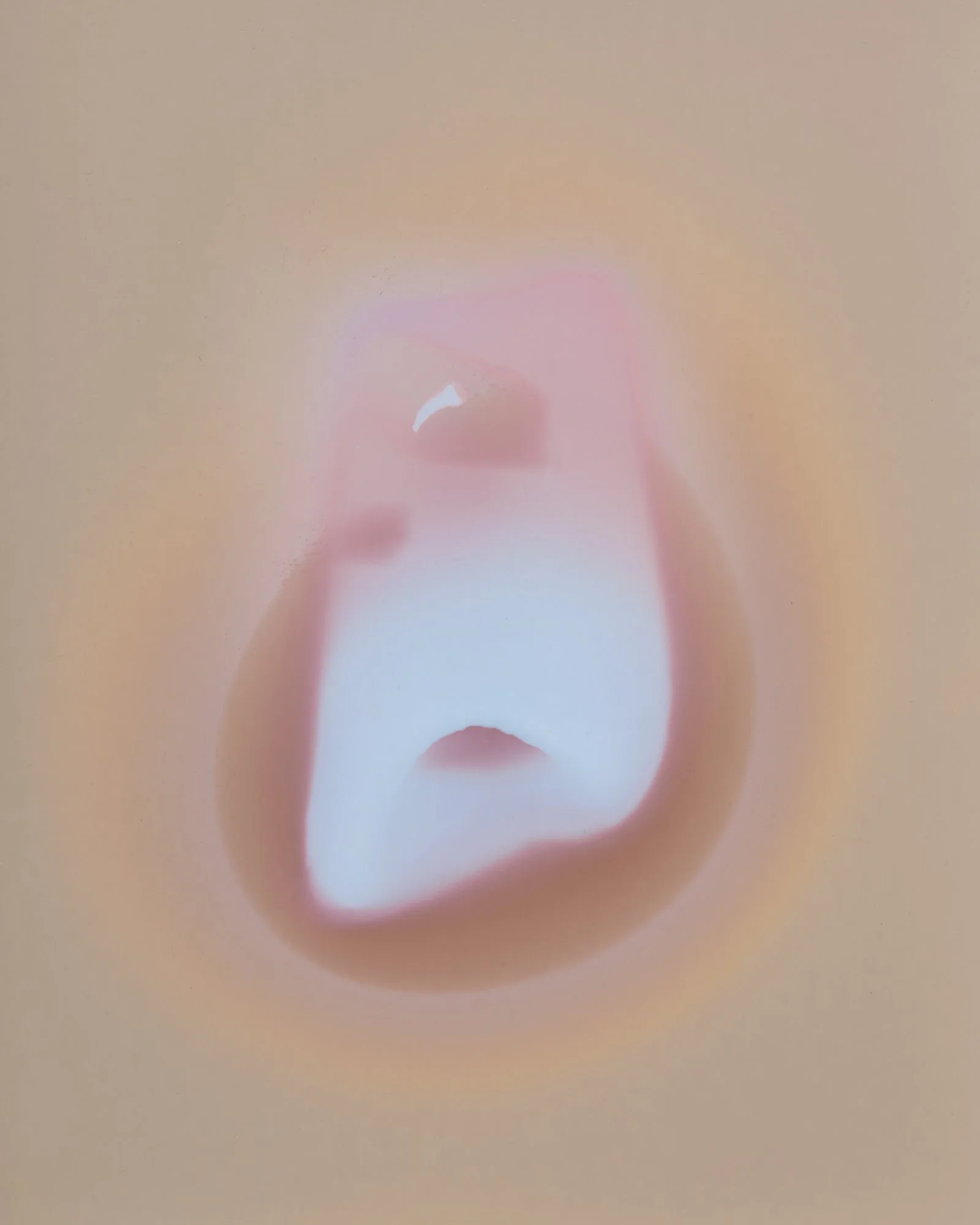 2025 Sitka Artist Residency: Conner Gordon