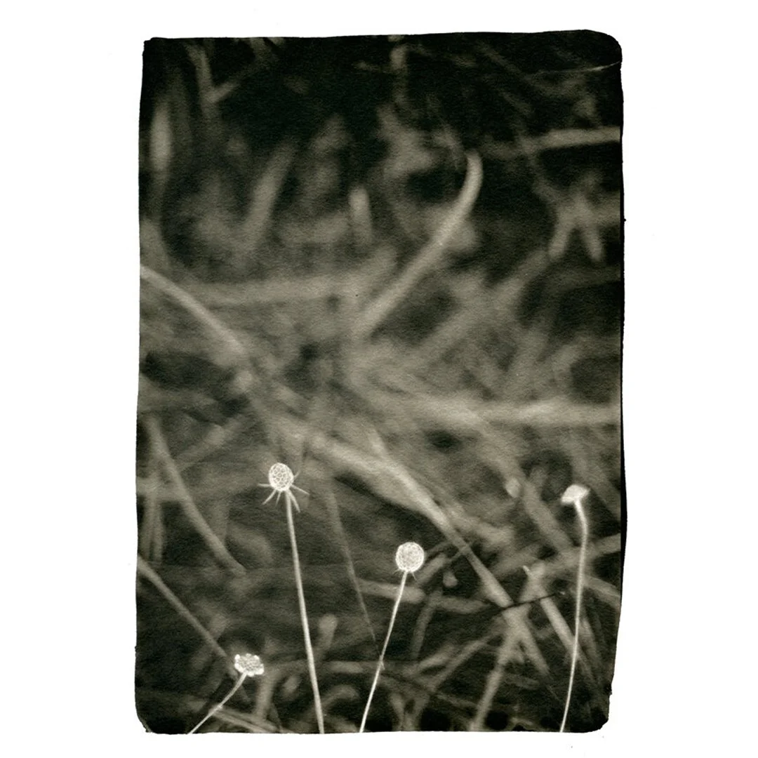 2025 Pacific Northwest Drawers Feature
Kelli Pennington: 𝘓𝘪𝘯𝘨𝘦𝘳

&ldquo;&lsquo;Void of Course&rsquo; in astrology refers to the period when the Moon is not making any major aspects before transitioning to the next sign. It is often described as