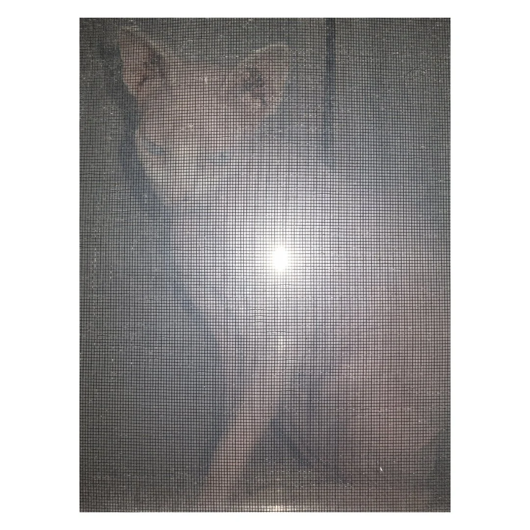 2025 Pacific Northwest Drawers Feature
Jake Nelson: 𝘜𝘯𝘵𝘪𝘵𝘭𝘦𝘥

&ldquo;These images are from my book &lsquo;Sweetbread&rsquo;. The name &lsquo;Sweetbread&rsquo; is a reference to two very different things. The first being the sweet smell from t