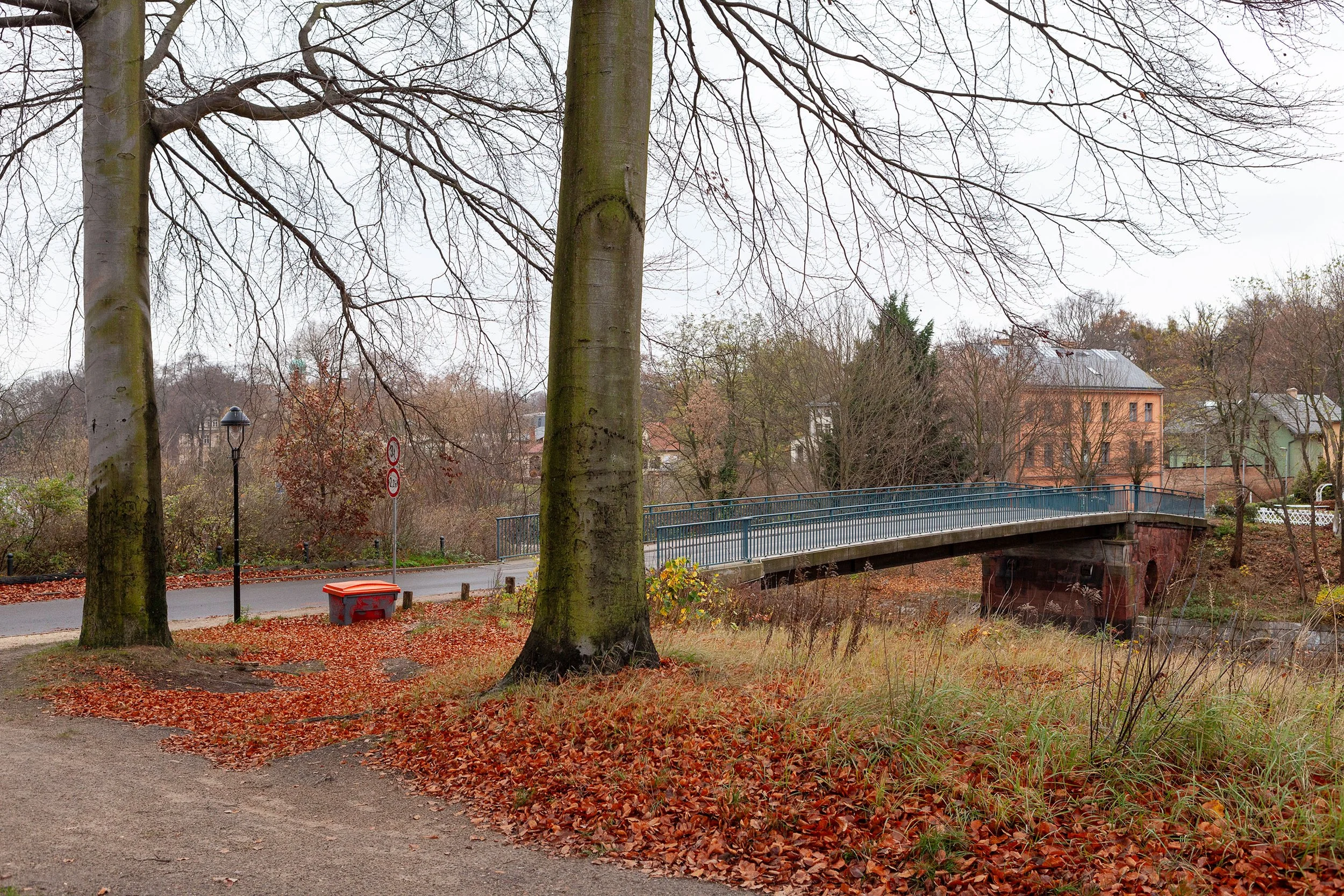 Image © Terri Warpinski