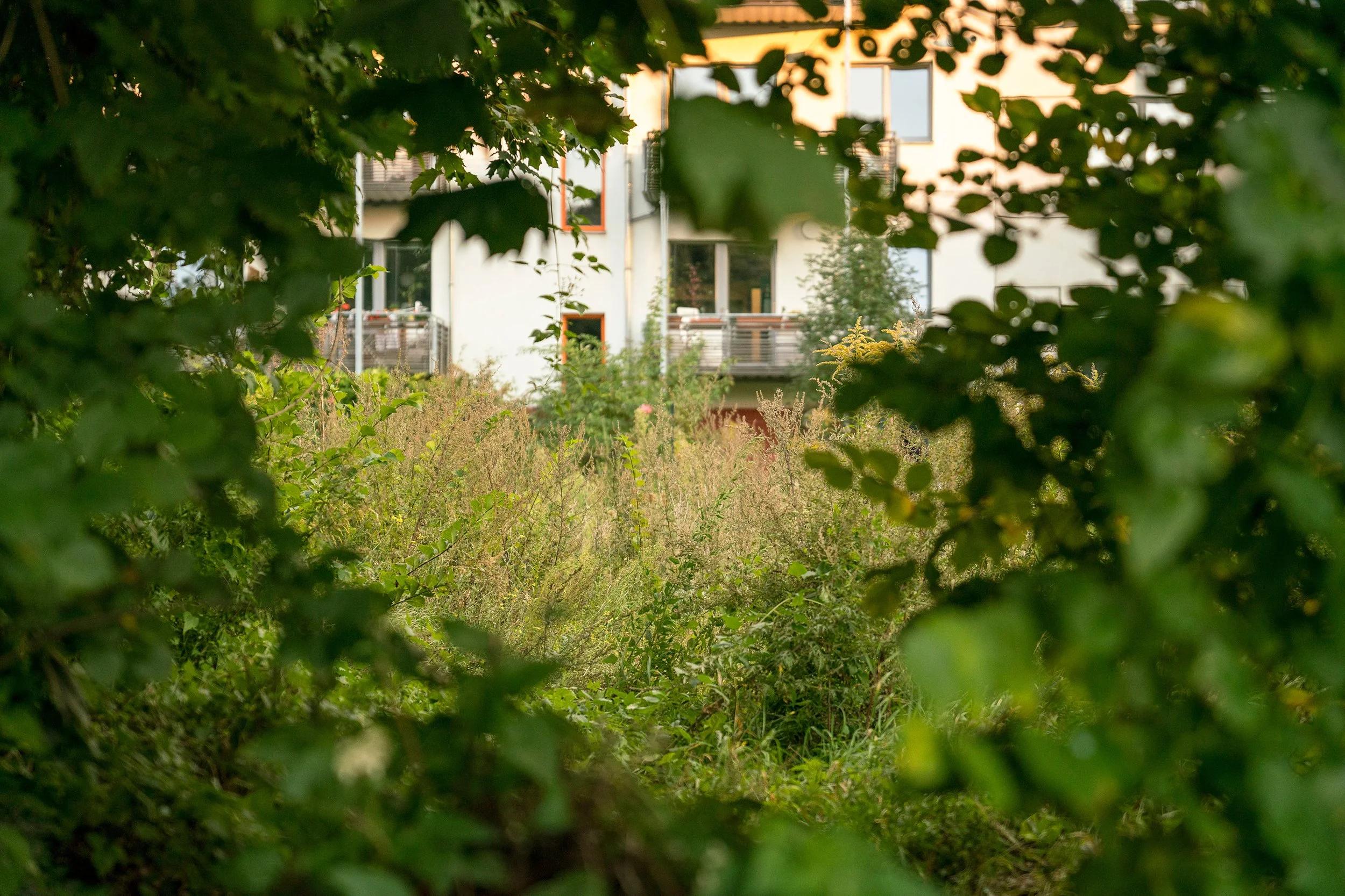 Image © Terri Warpinski