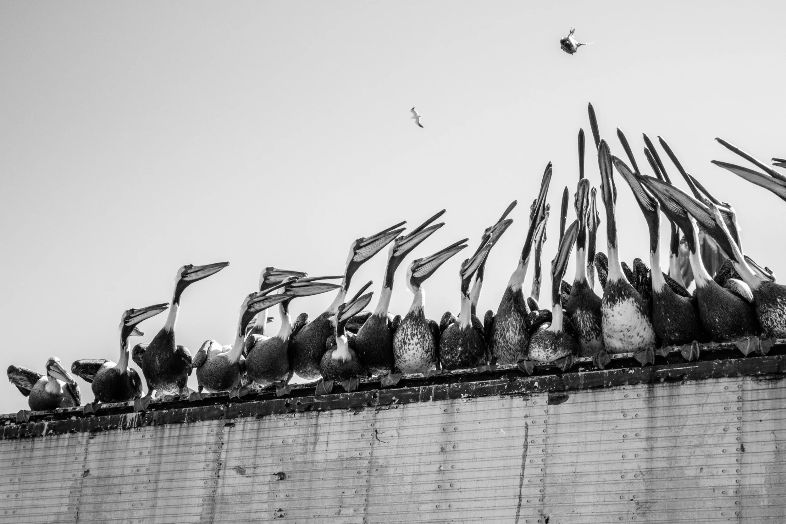 Image © Éléonore Simon