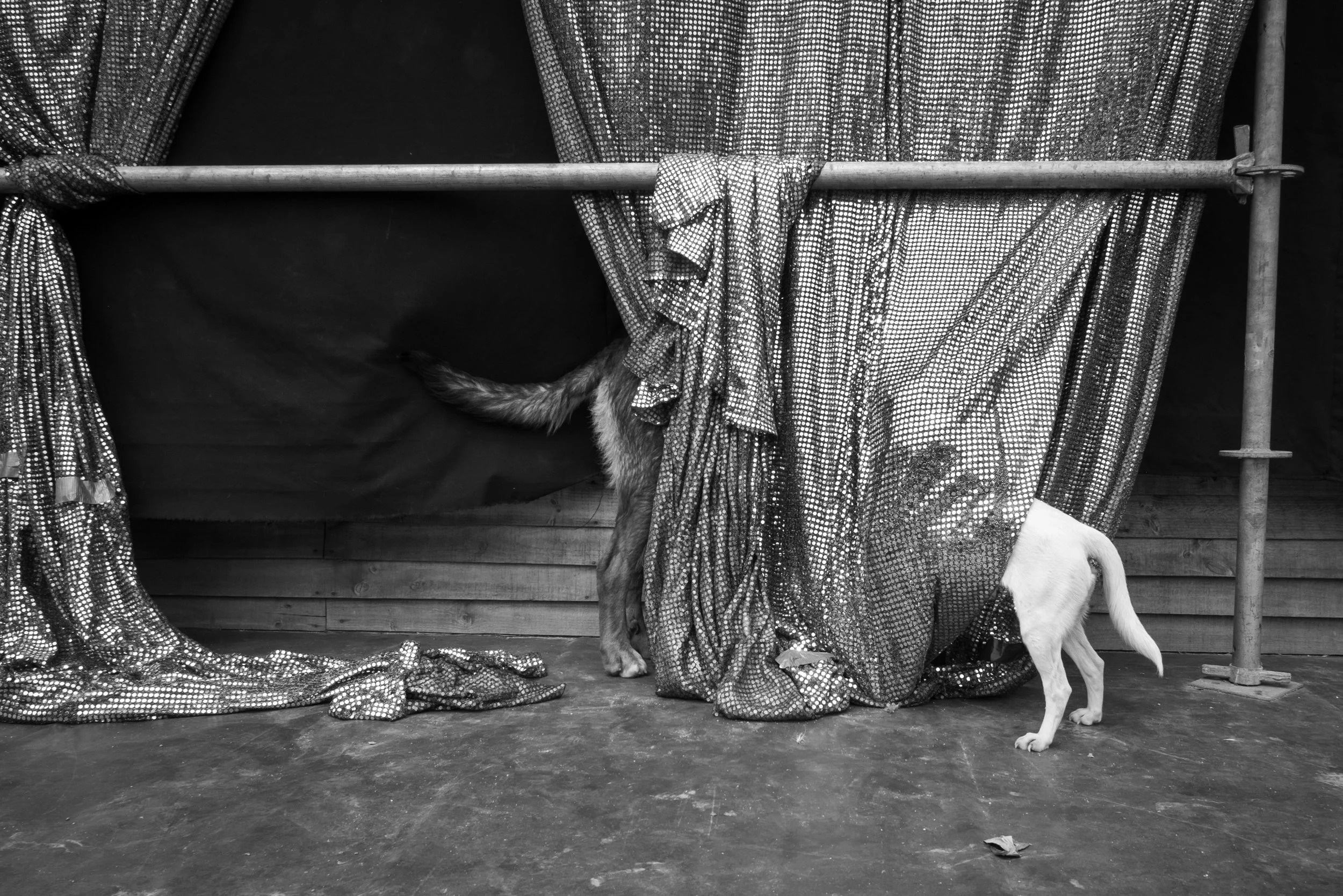 Image © Éléonore Simon