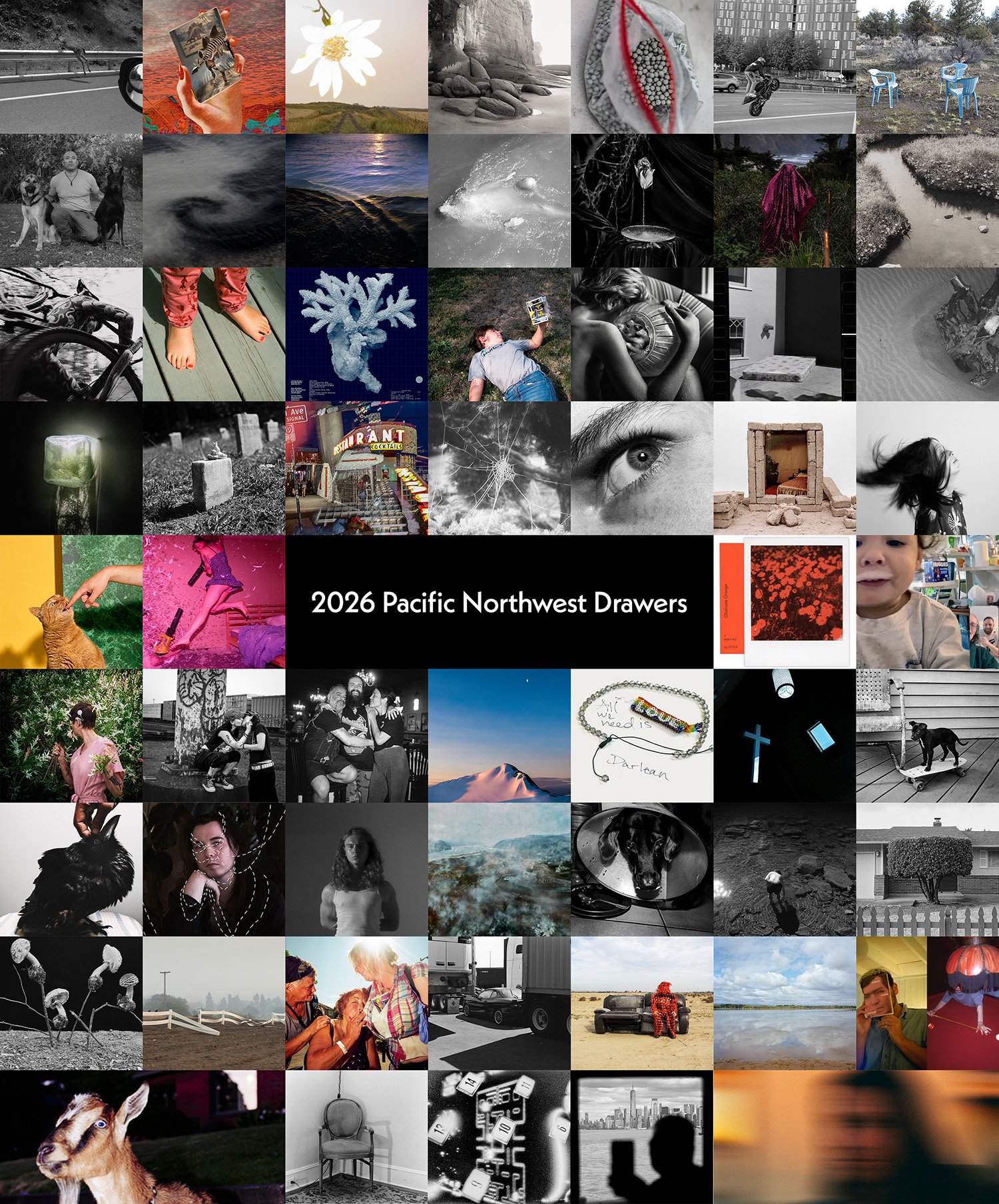 Congratulations to the 2026 Pacific Northwest Drawers Artists
