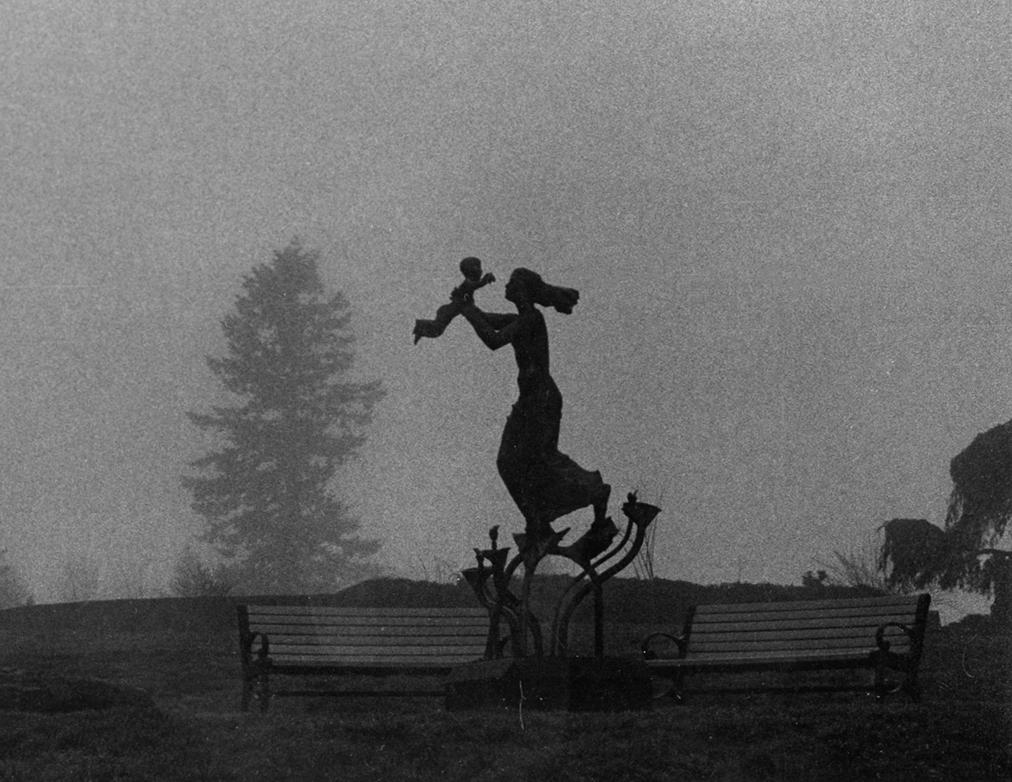 Image © Morgan Simers