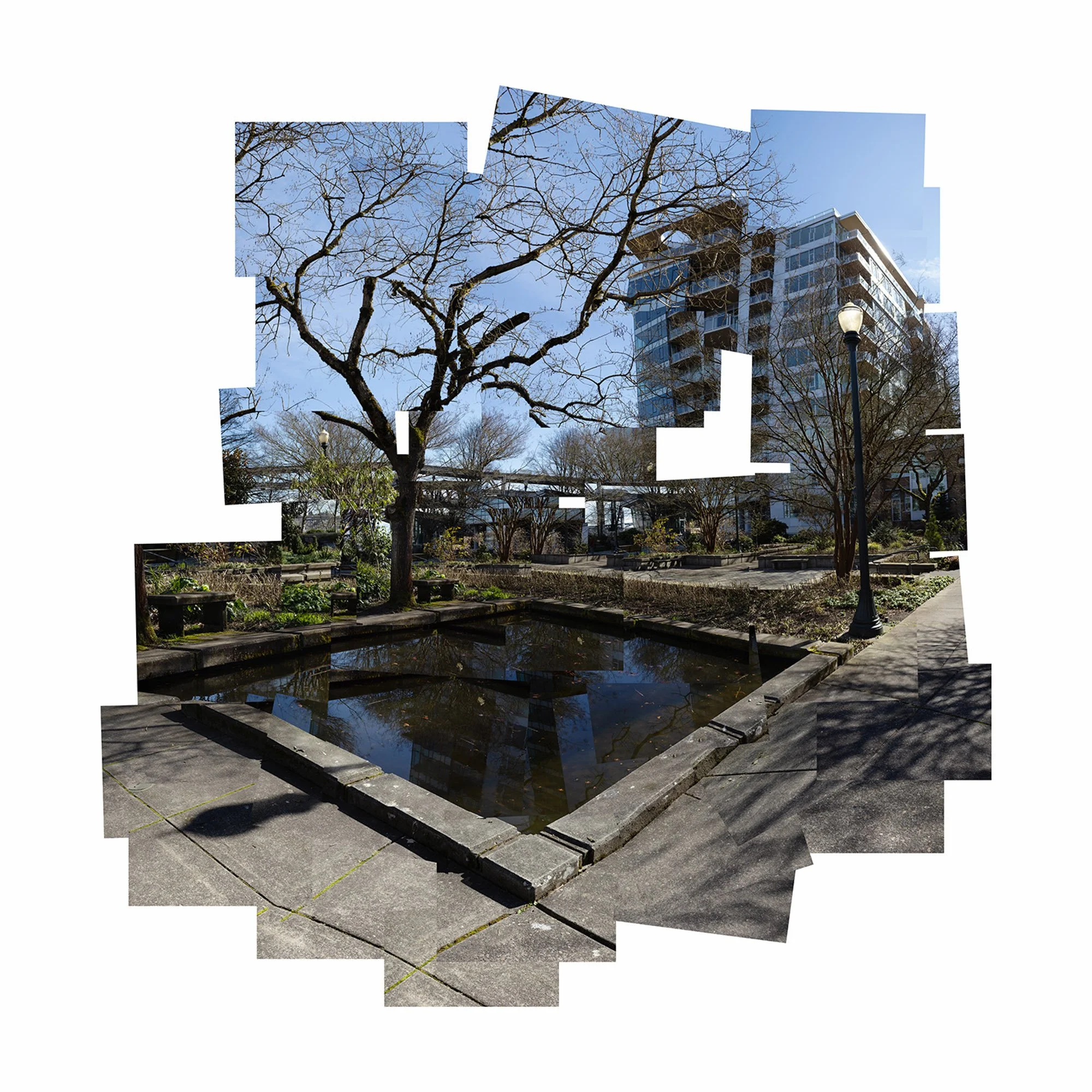 Image © Braydin Rose