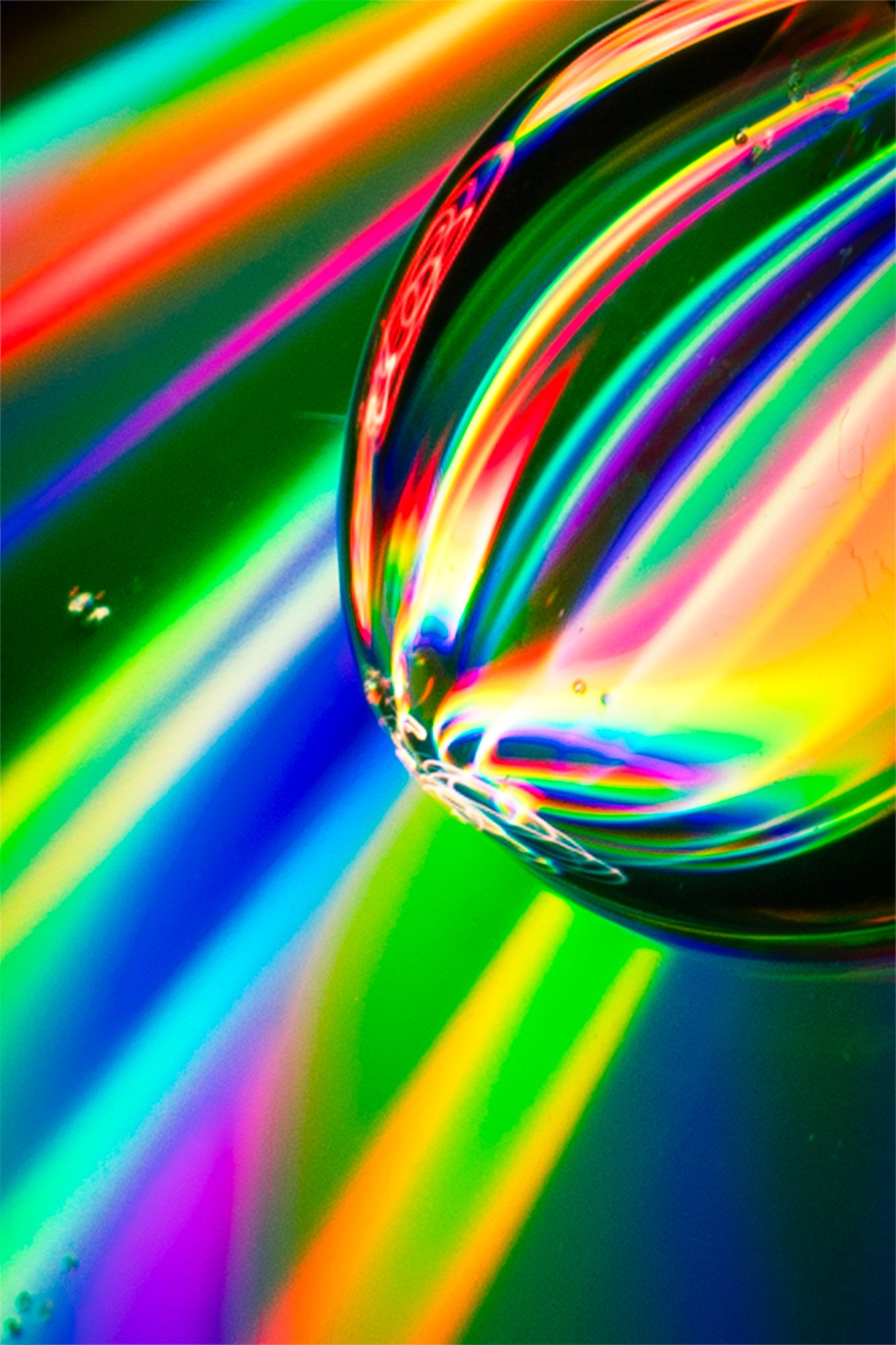 Image © Miguel Adrian Anselmo Espitia